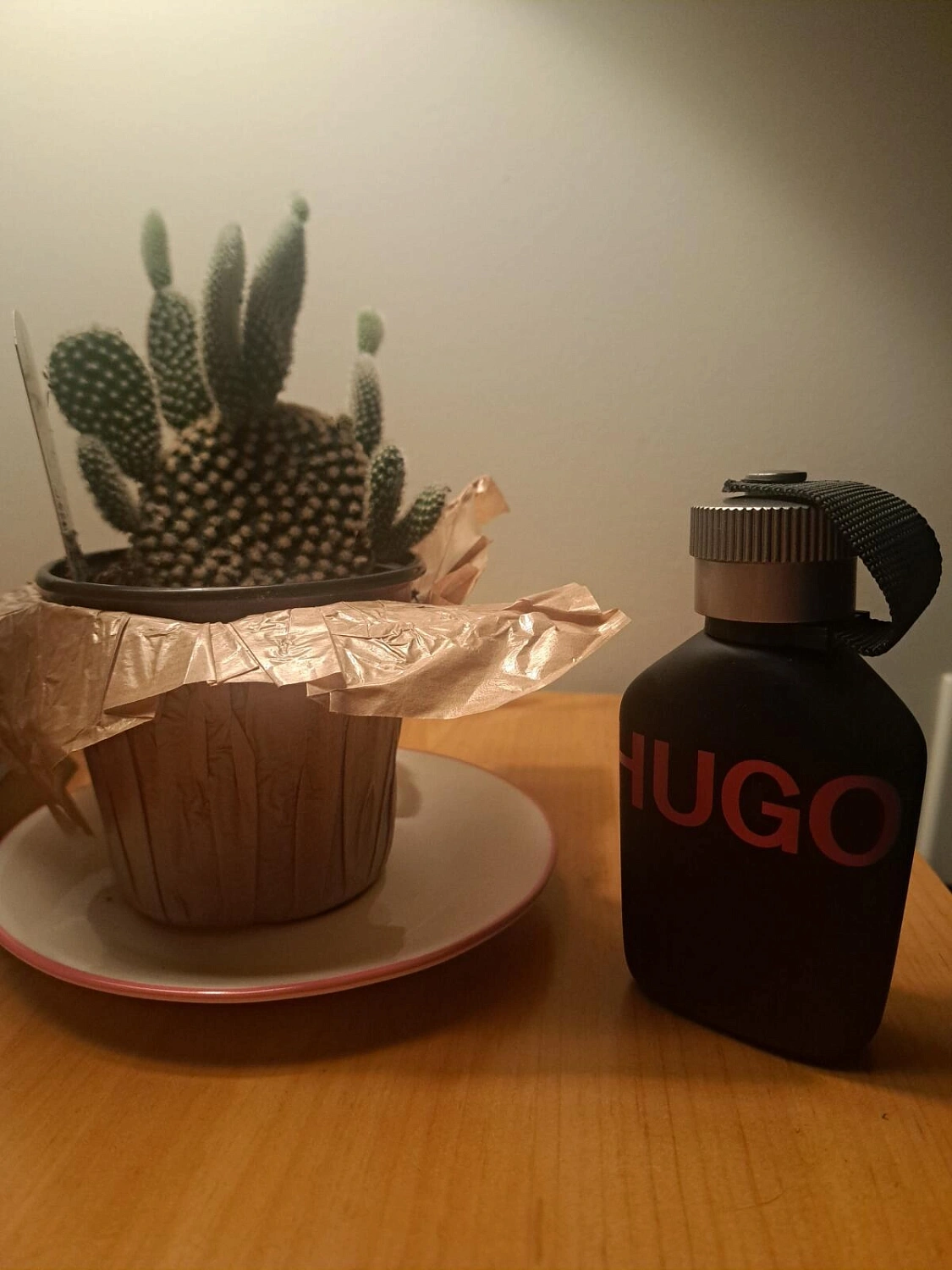 HUGO BOSS Hugo Just Different