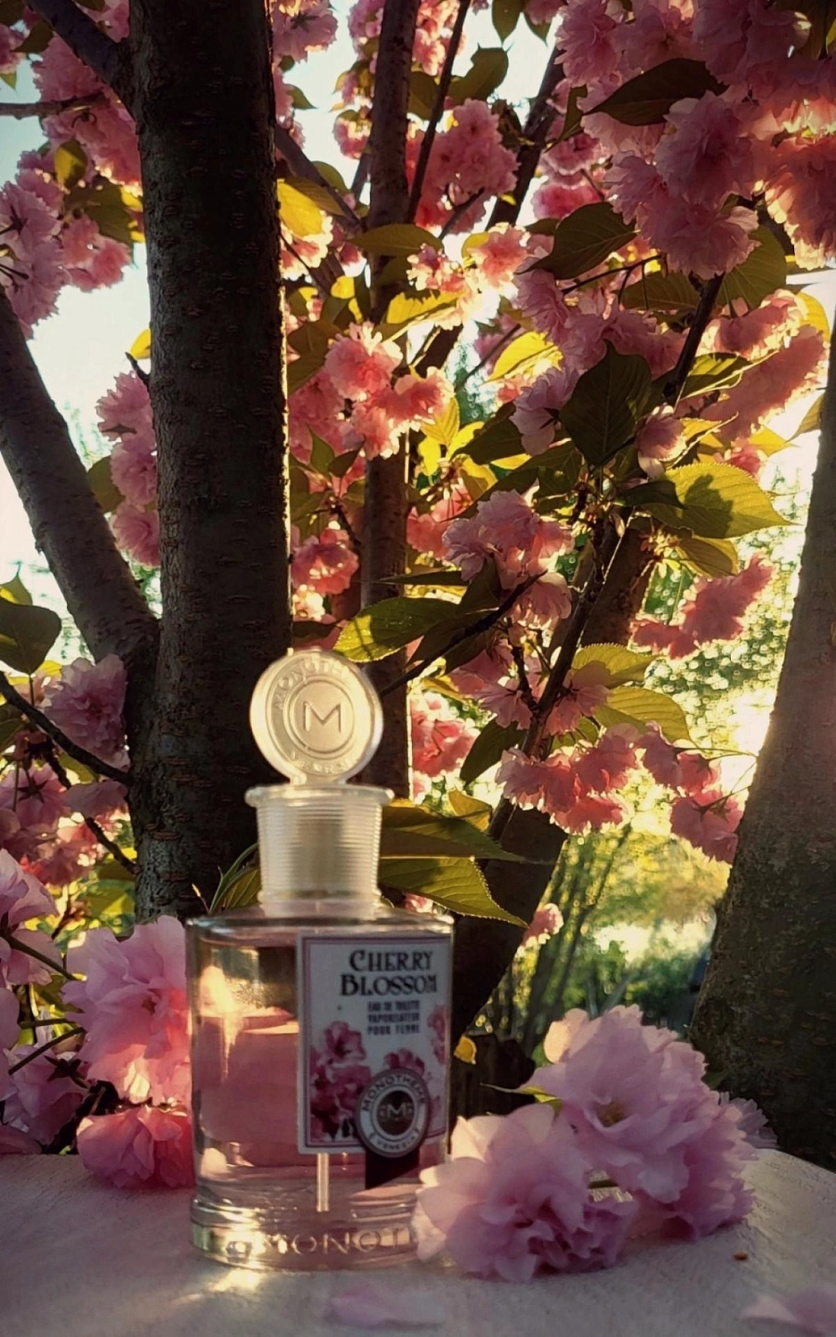 Monotheme Fine Fragrances Venezia Cherry Blossom Monotheme Fine Fragrances Venezia Cherry Blossom
