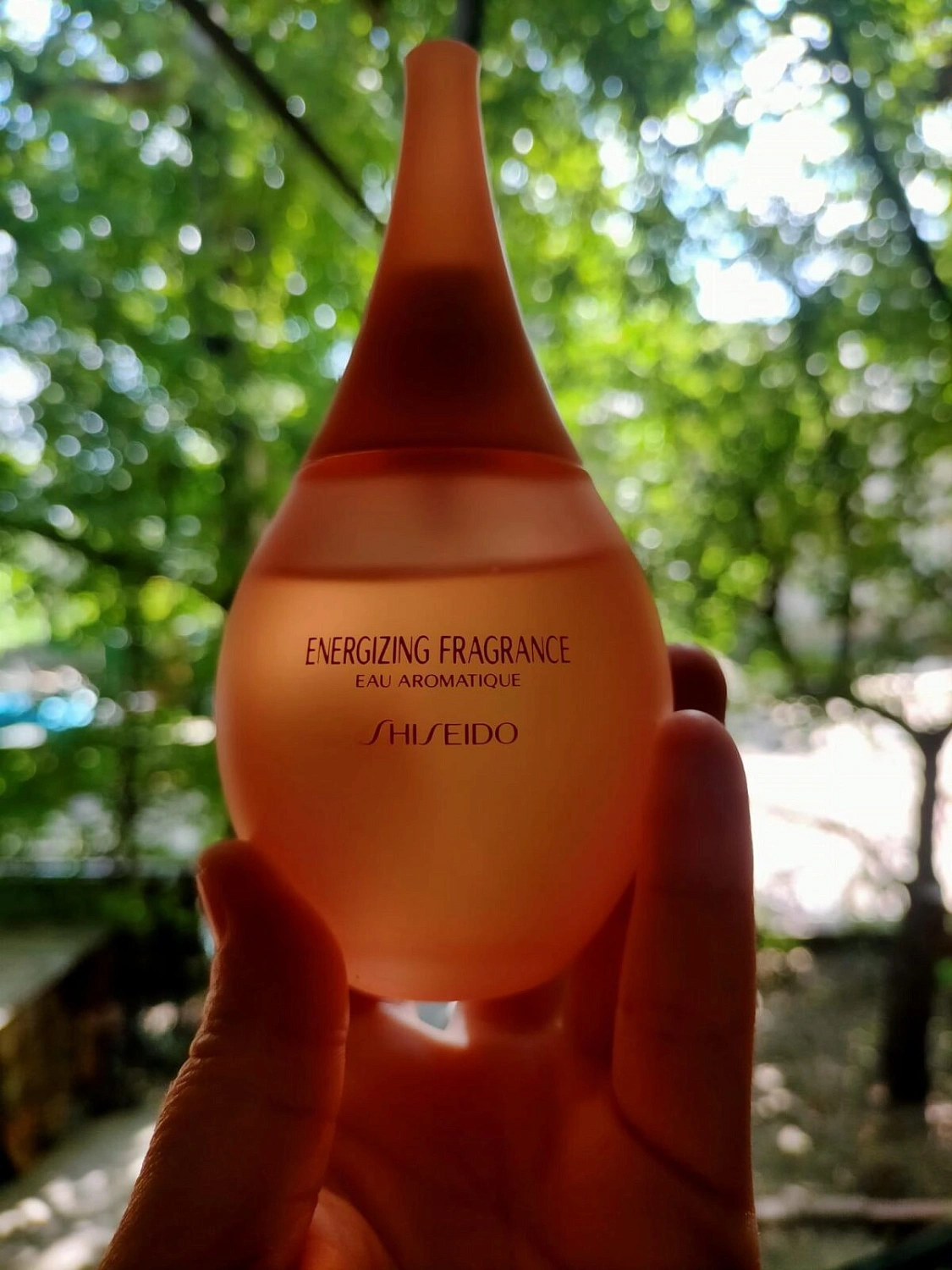 Shiseido Energizing