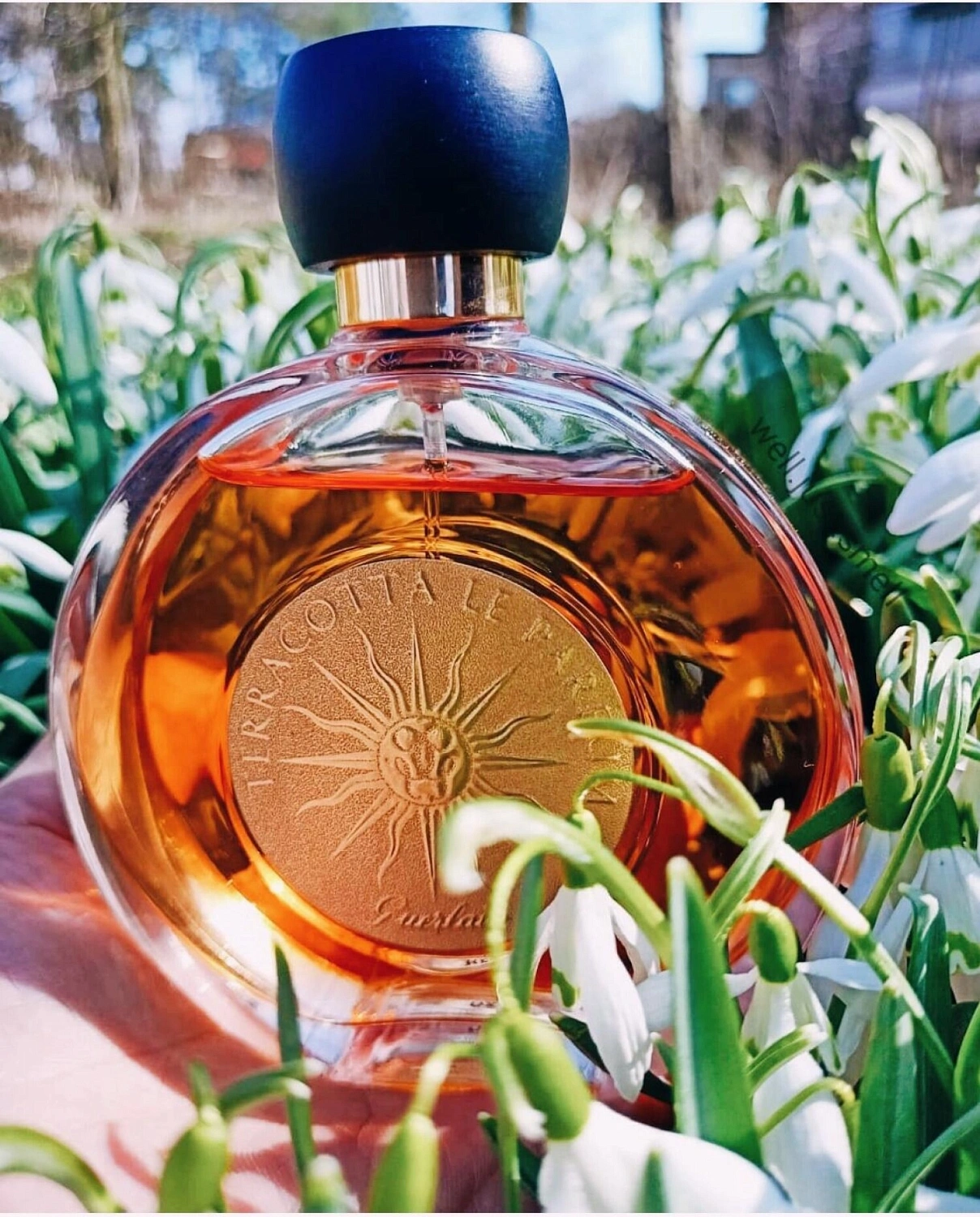 Guerlain Terracotta Le Parfum