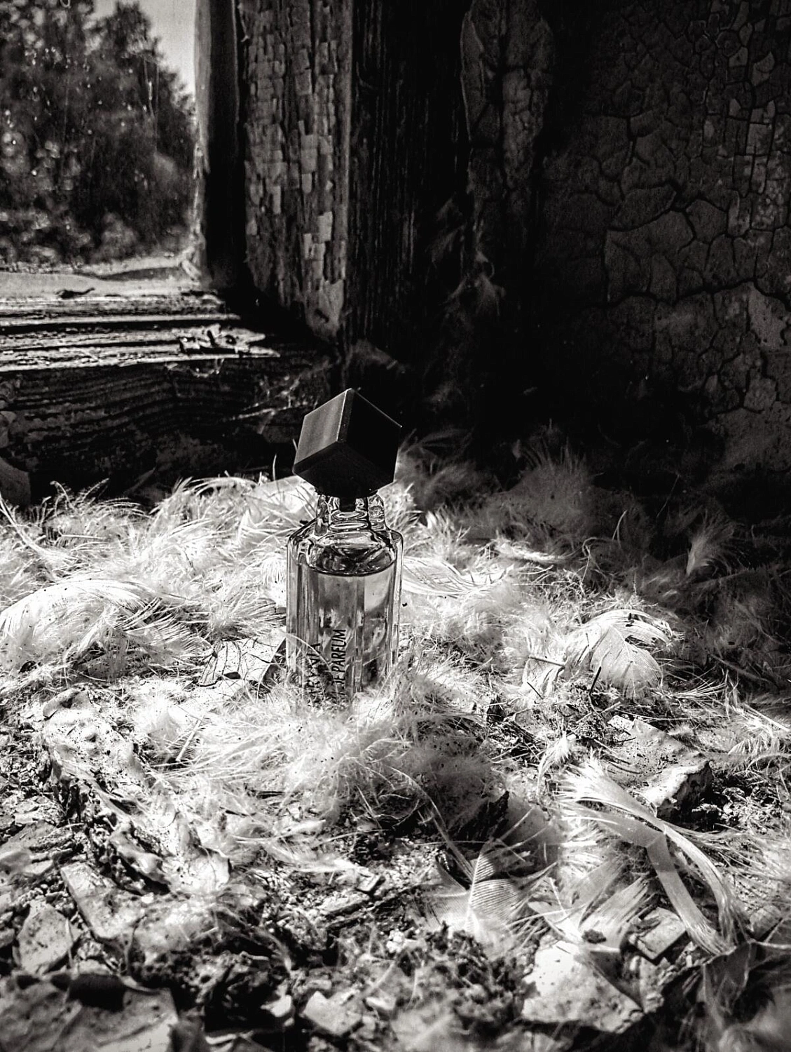 Helena Rubinstein Barynia