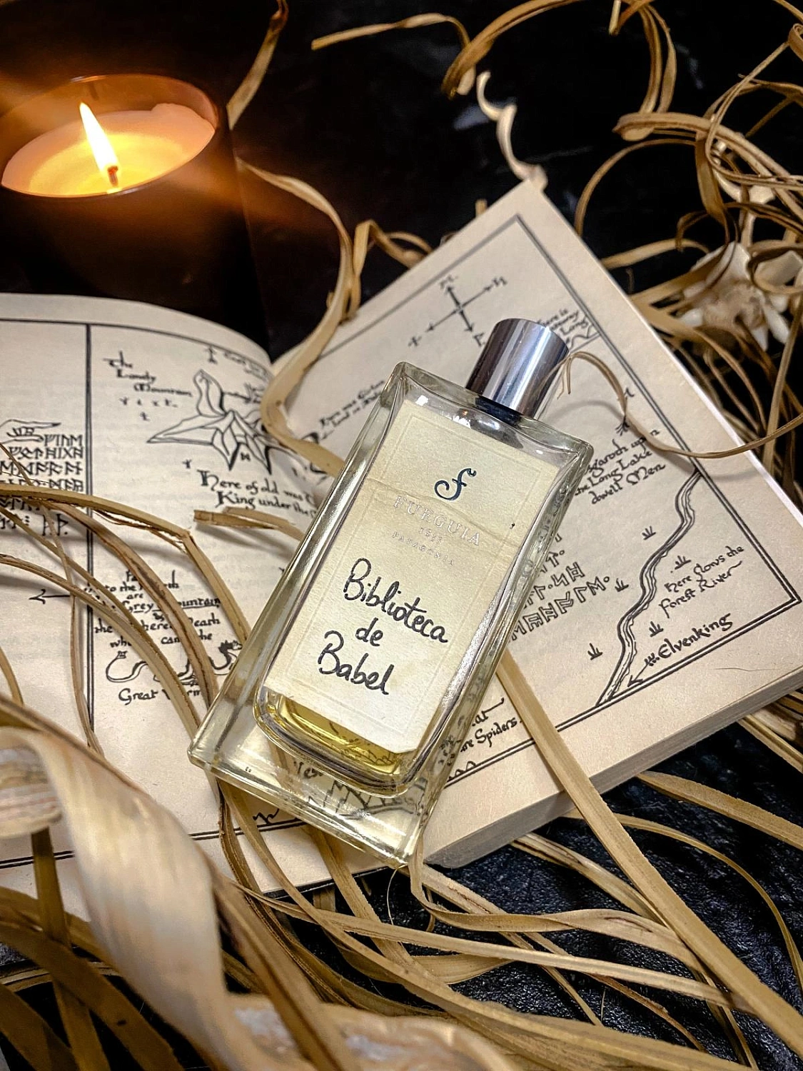 Fueguia 1833 Biblioteca de Babel