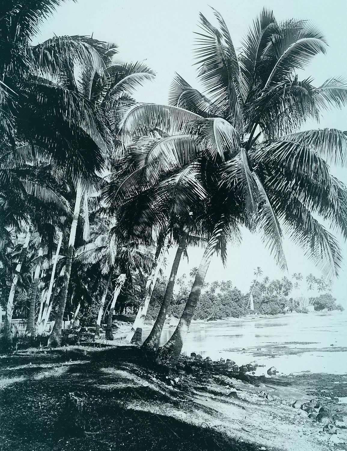 Cherigan Or Des Iles Cherigan Or Des Iles