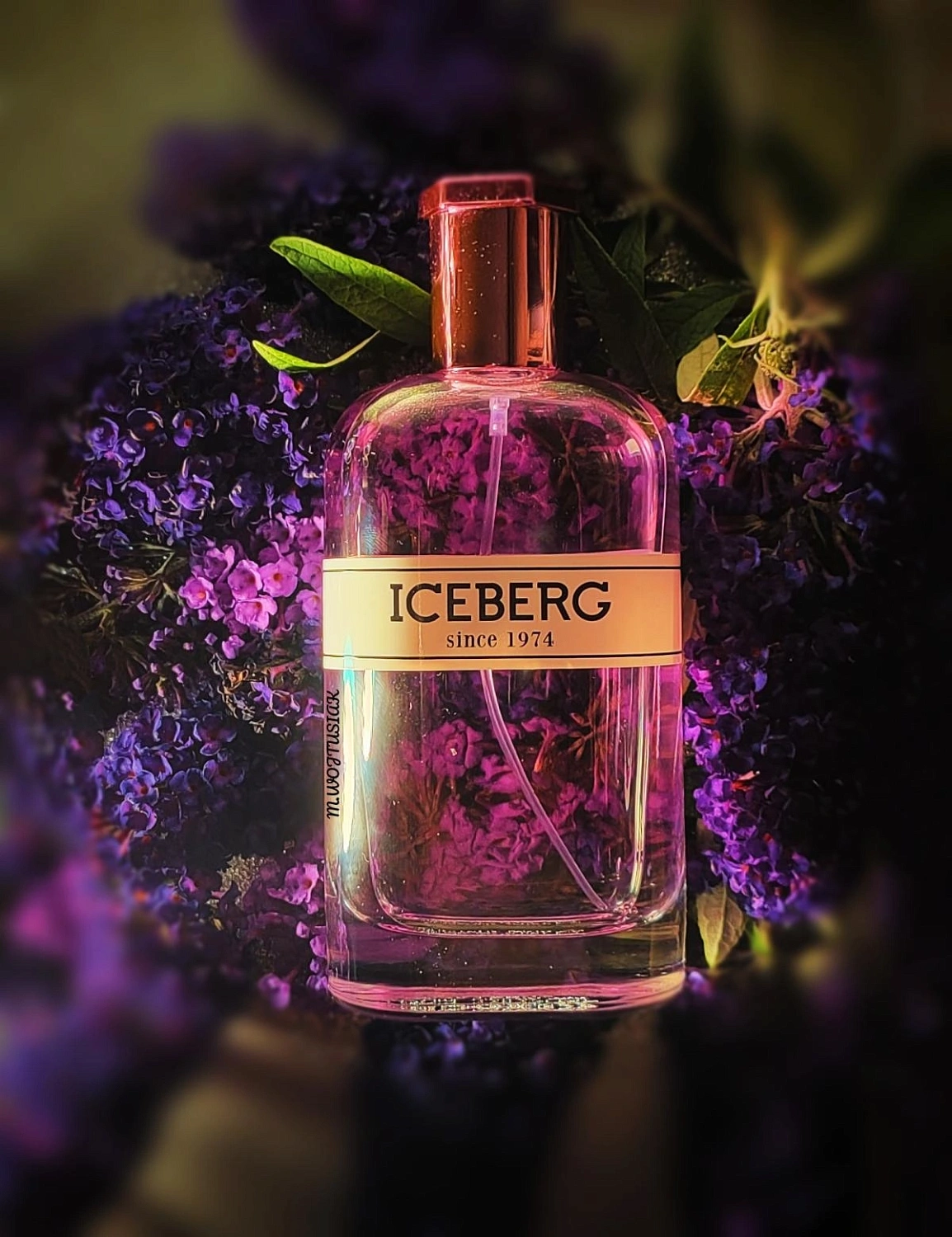 Iceberg Since 1974 for Her Iceberg Since 1974 for Her