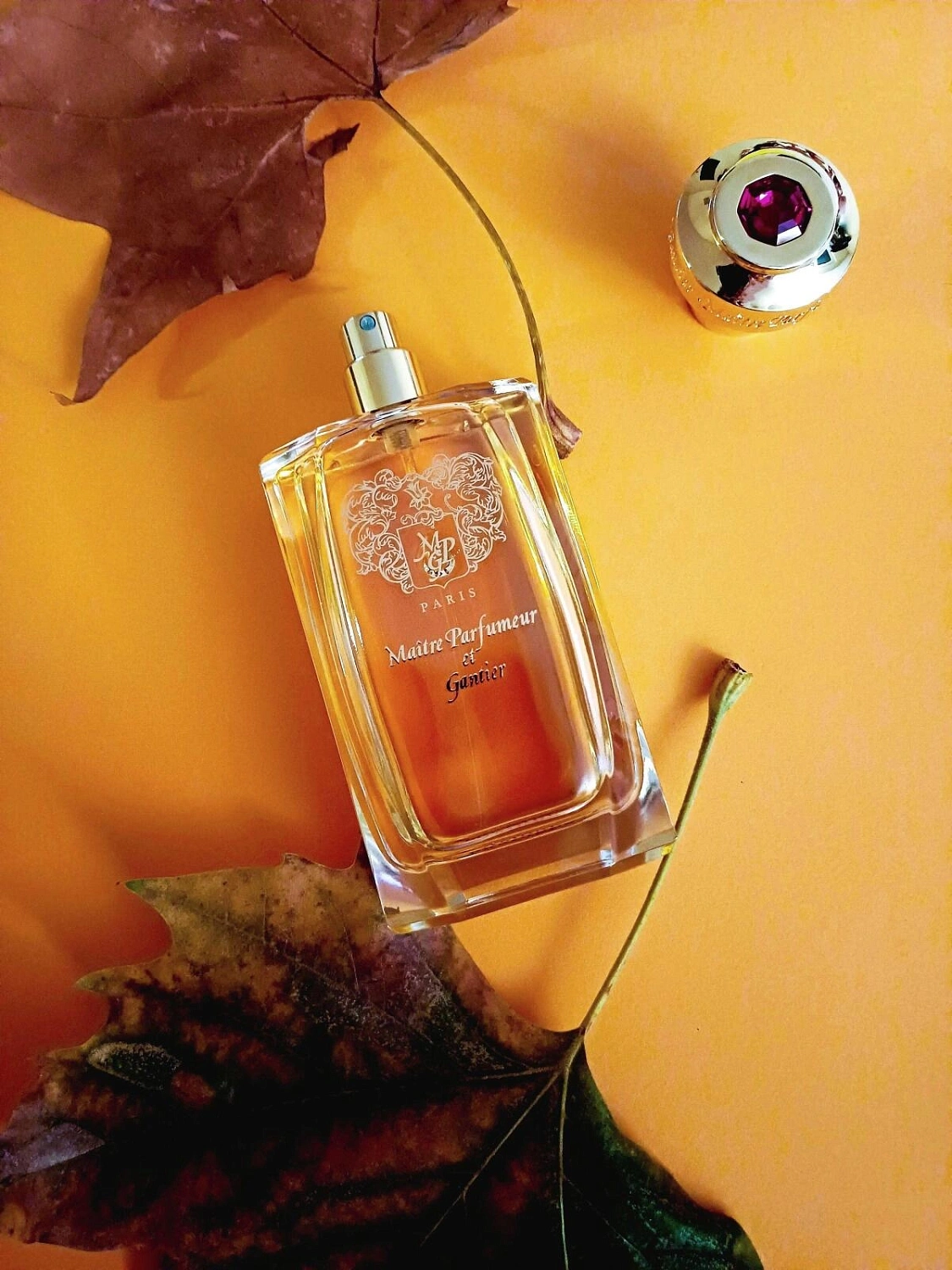 Maitre Parfumeur et Gantier Ambre Precieux