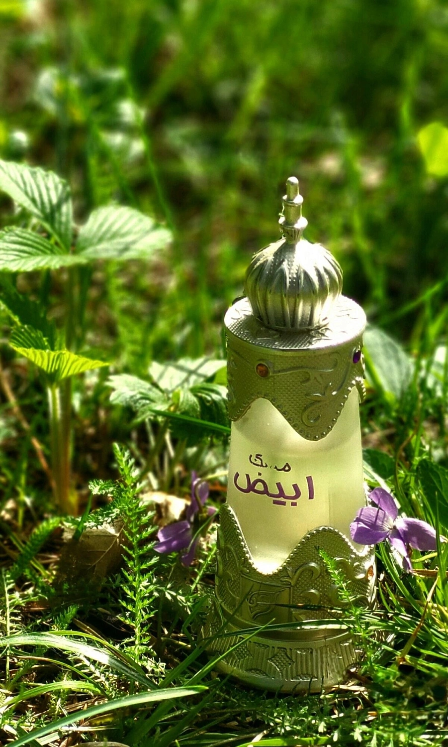 AFNAN Musk Abiyad AFNAN Musk Abiyad
