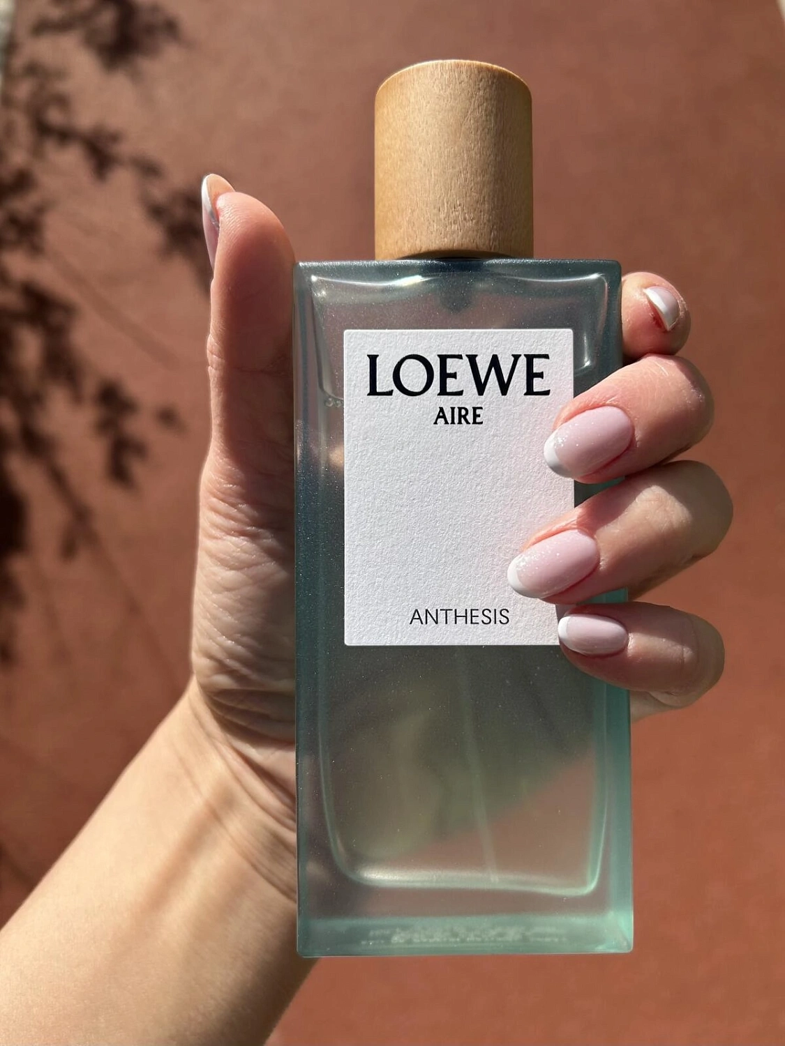 Loewe Aire Anthesis