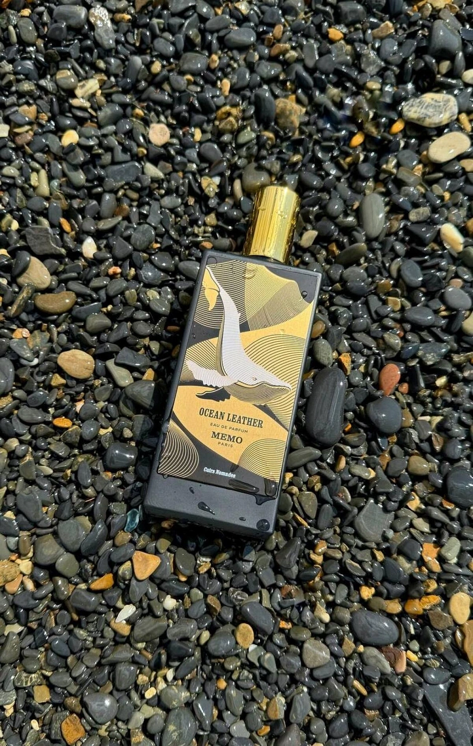 Memo Ocean Leather