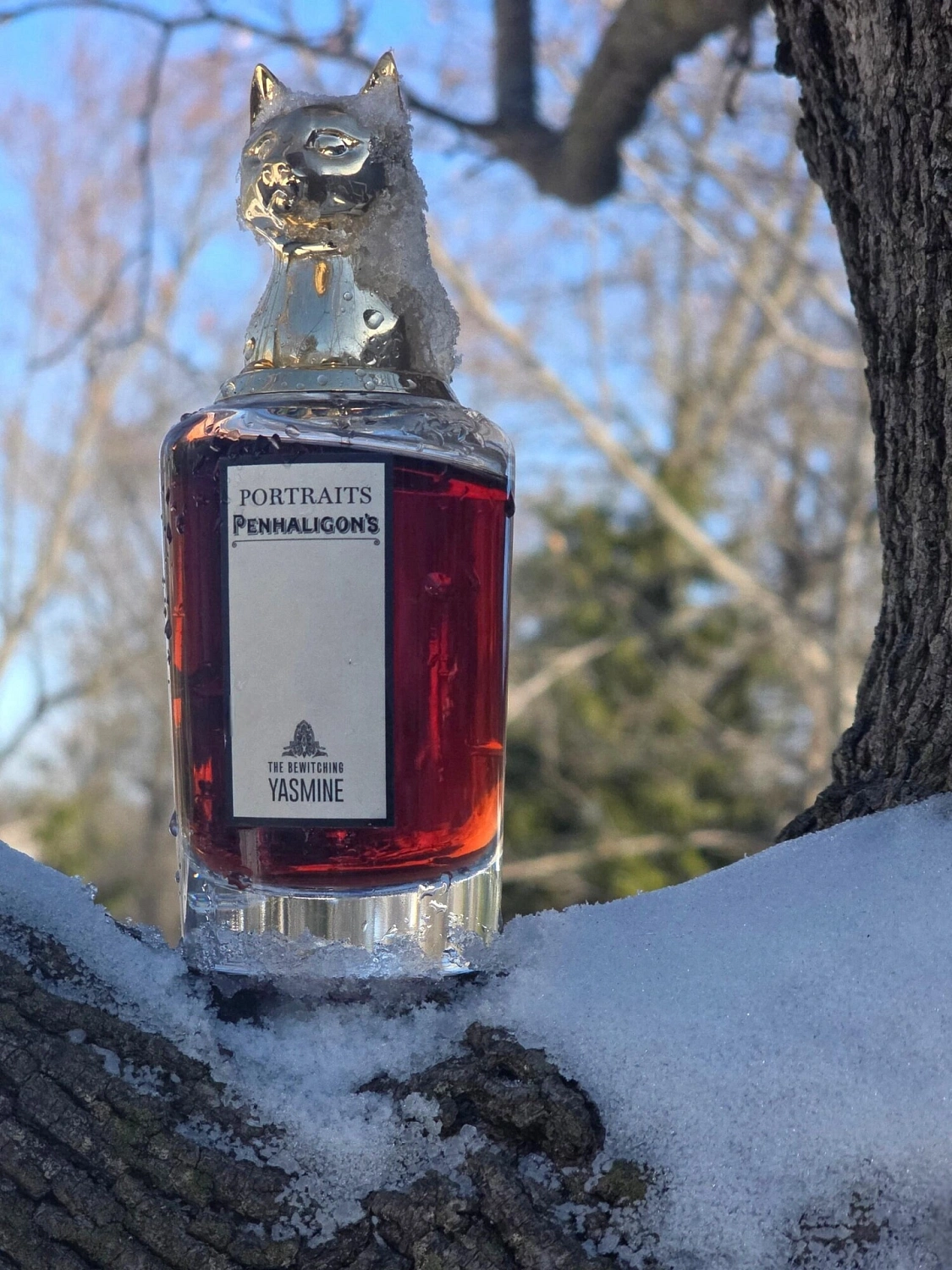 Penhaligon's The Bewitching Yasmine