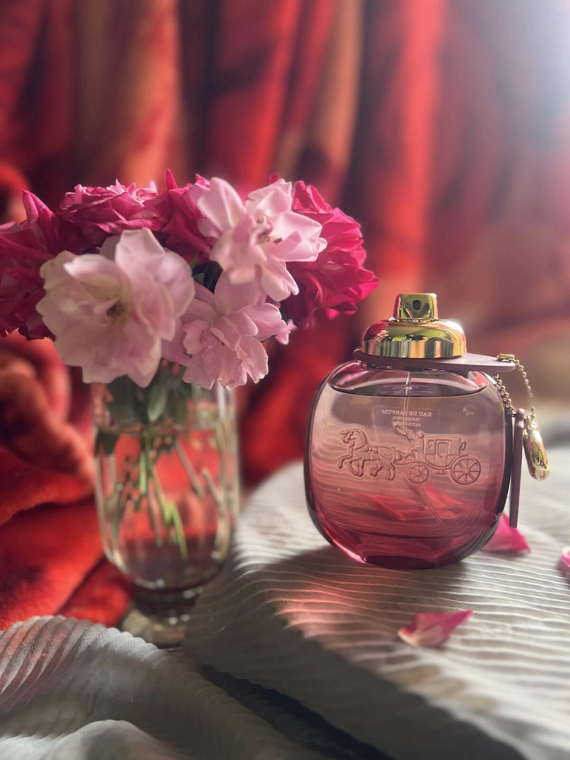 Coach Wild Rose Coach Wild Rose