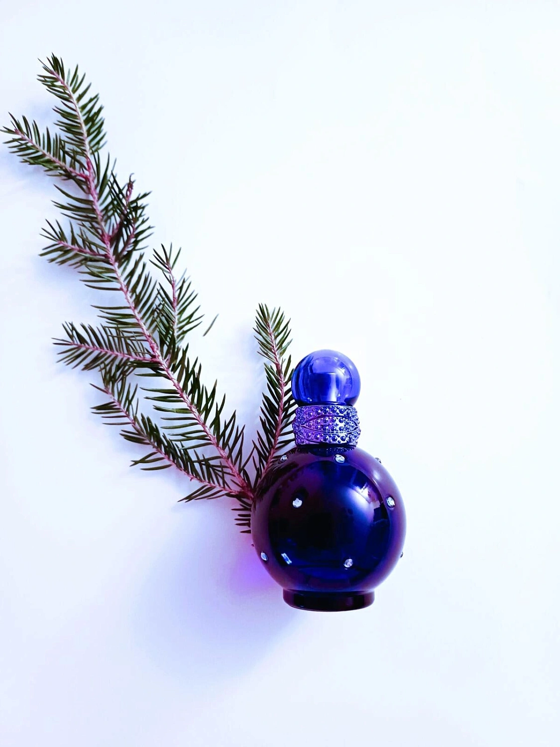 Britney Spears Midnight Fantasy