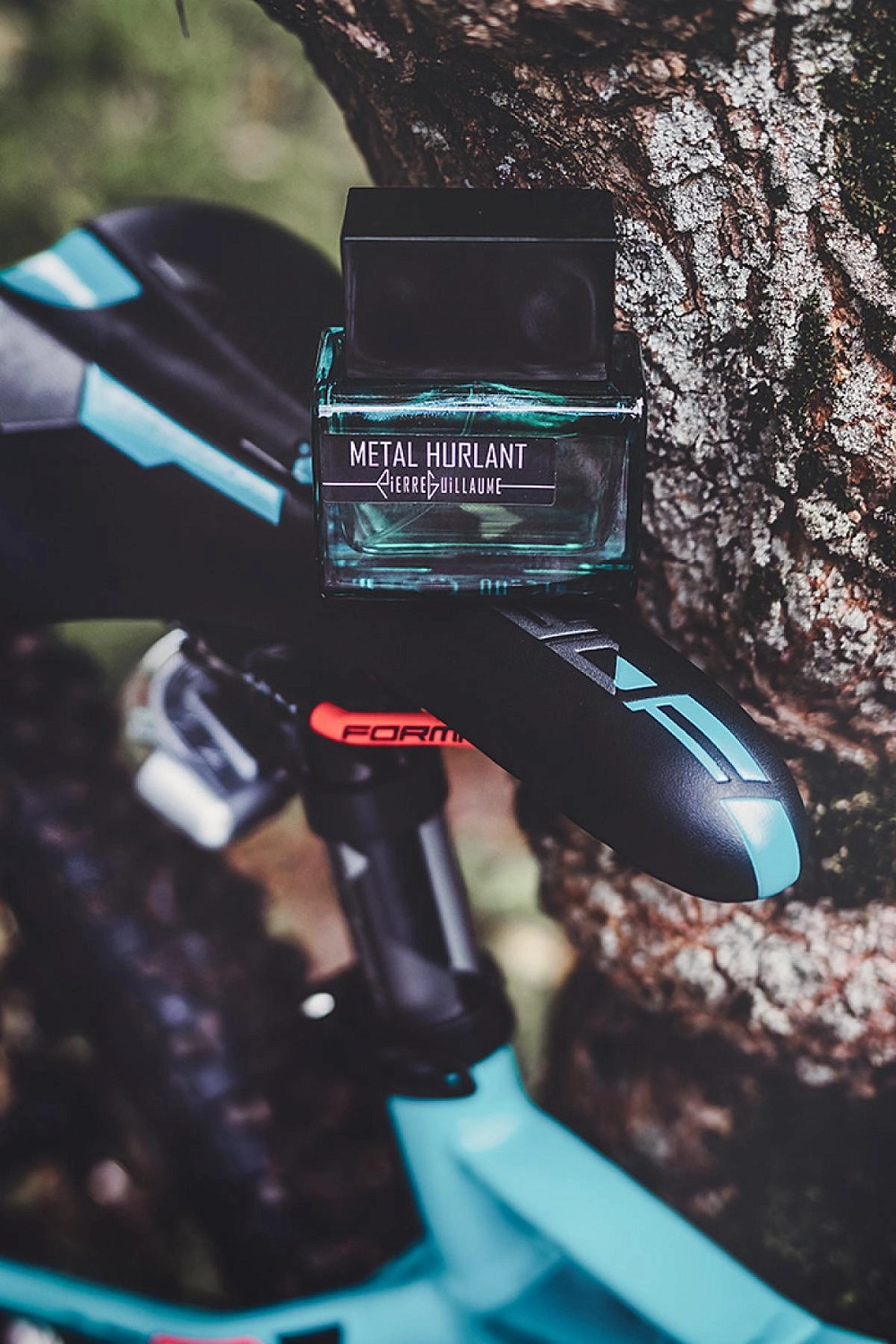 Pierre Guillaume Metal Hurlant