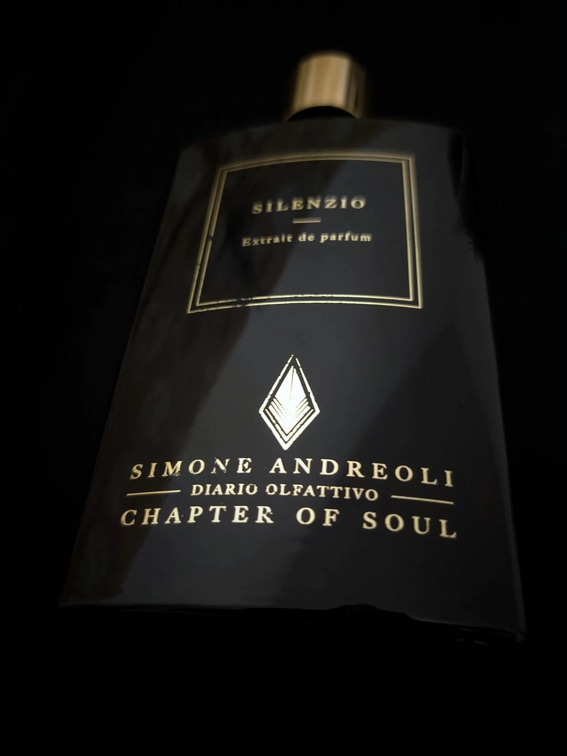 Simone Andreoli Silenzio