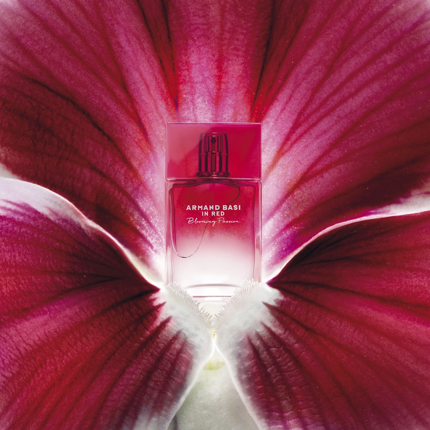 Armand Basi In Red Blooming Passion Armand Basi In Red Blooming Passion