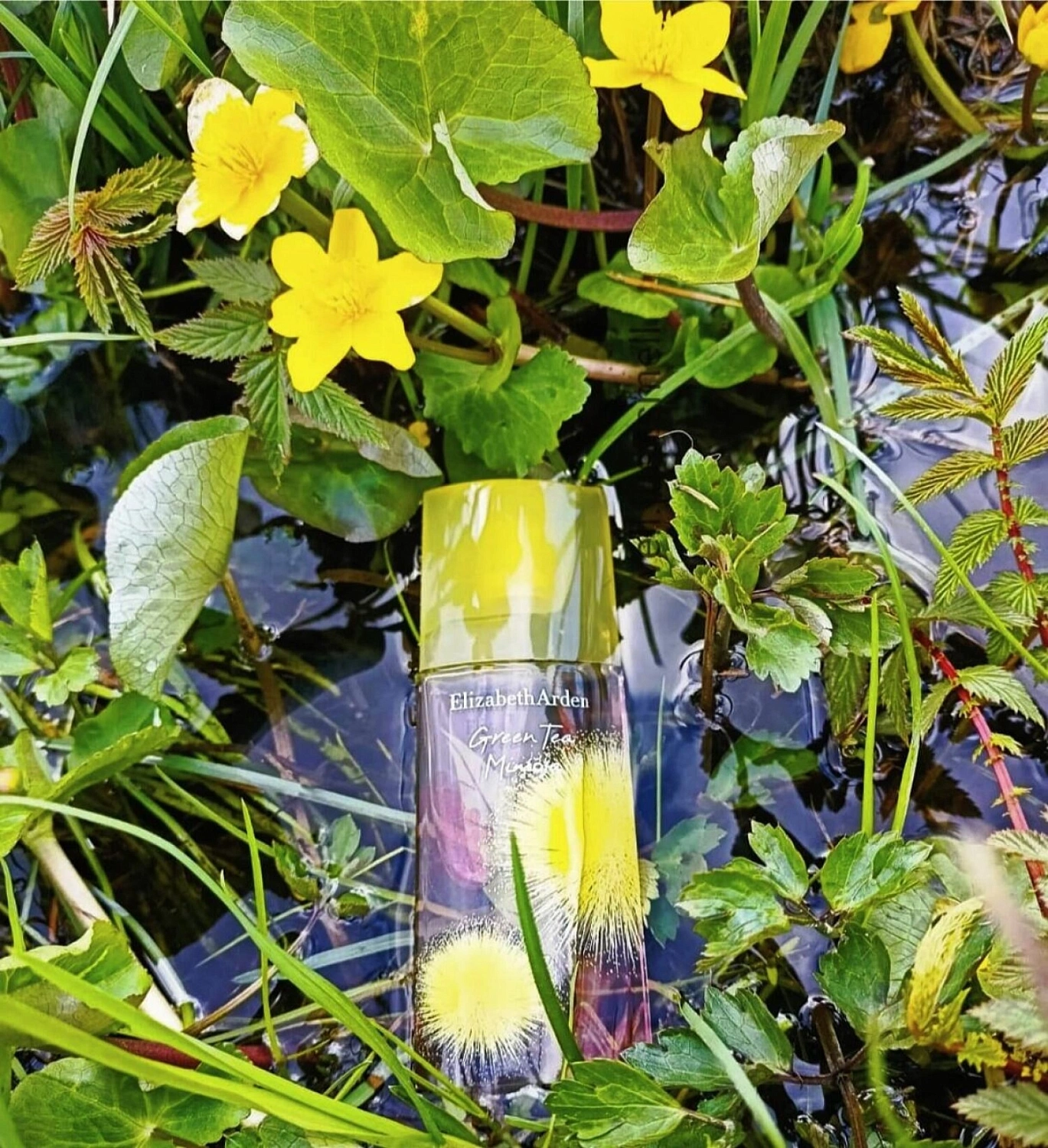 Elizabeth Arden Green Tea Mimosa