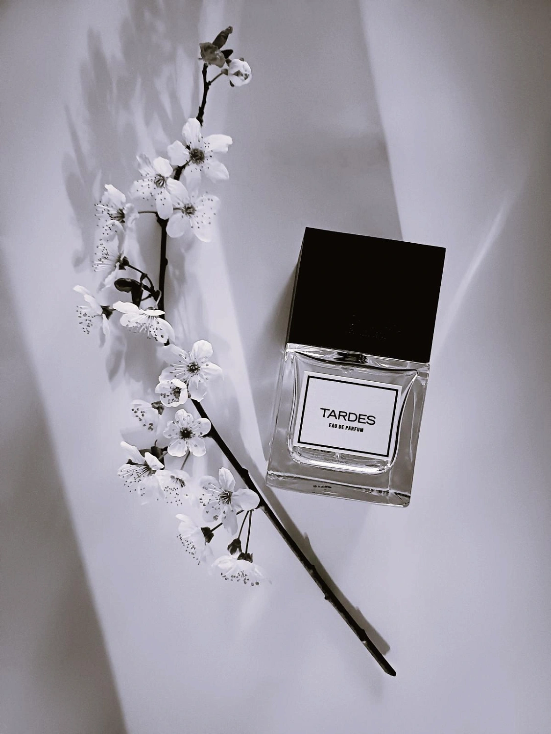 Carner Barcelona Tardes