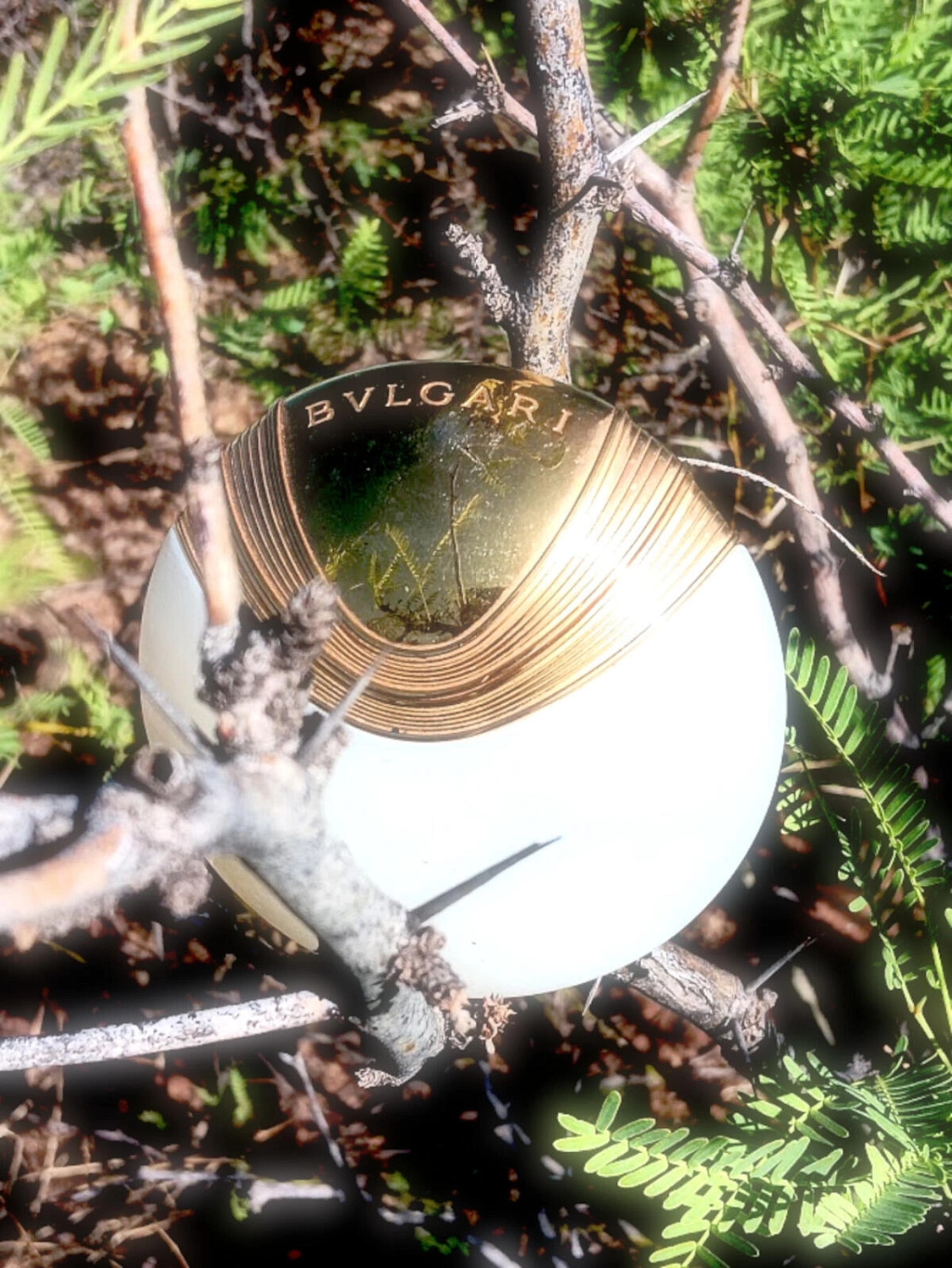 BVLGARI Aqva Divina