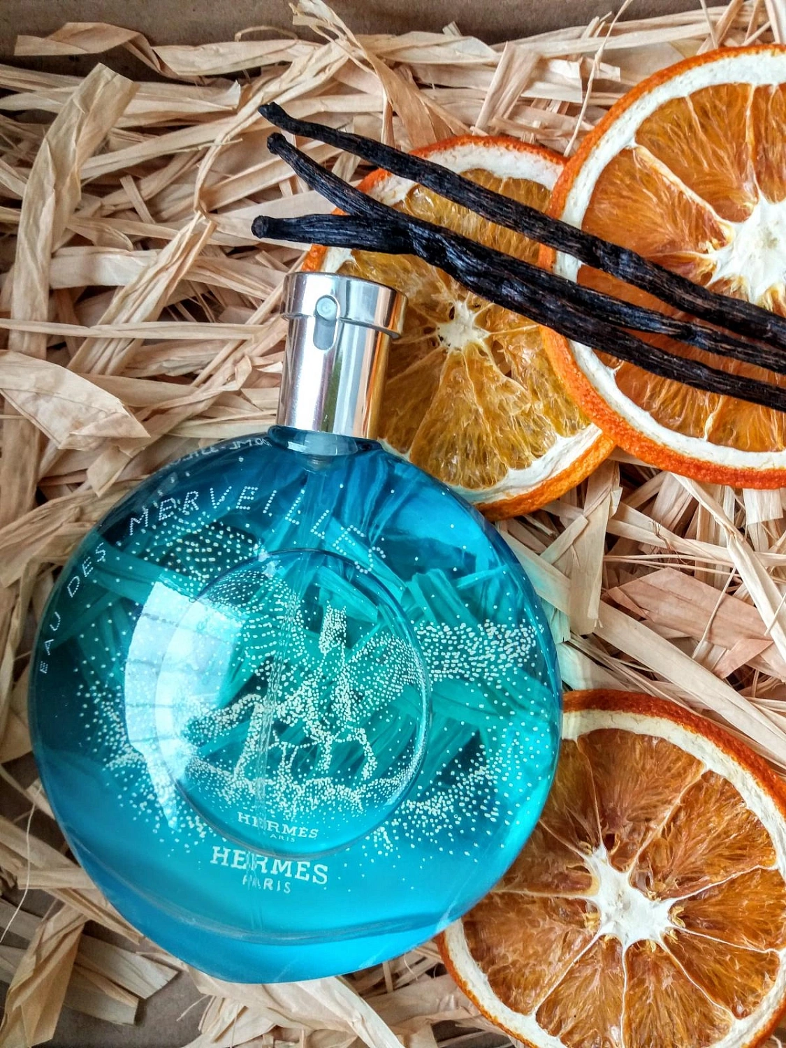 Hermes Eau des Merveilles Pegasus