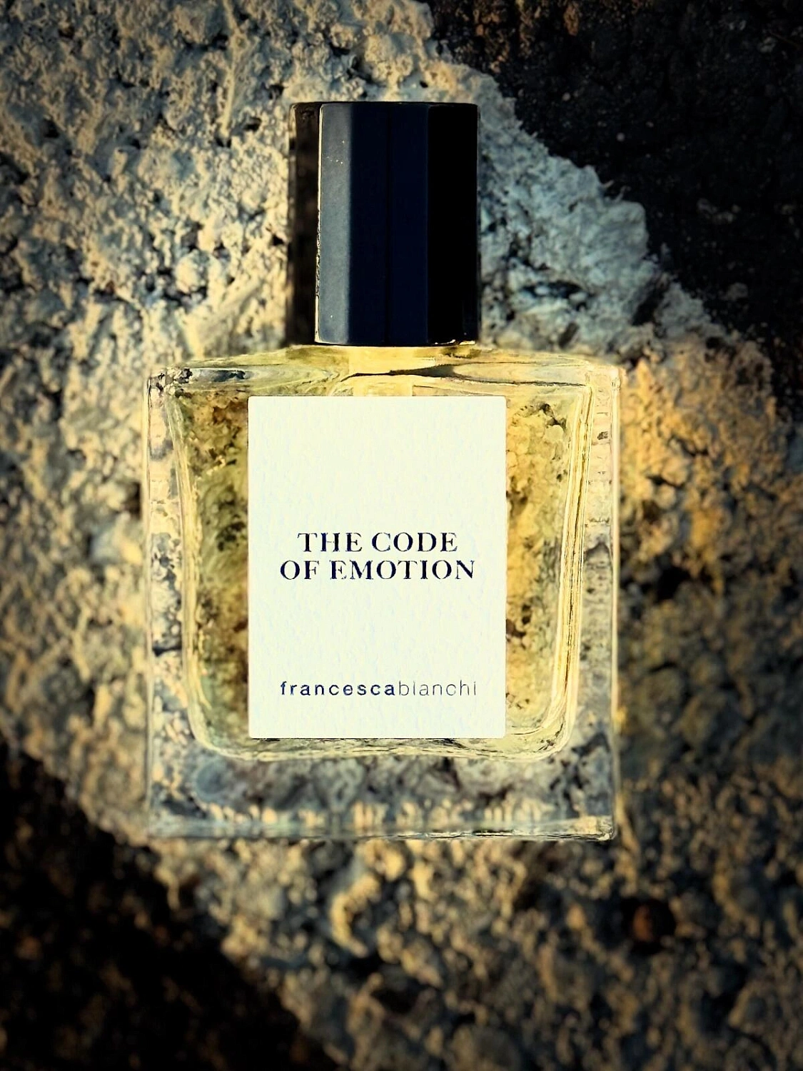 Francesca Bianchi The Code of Emotion