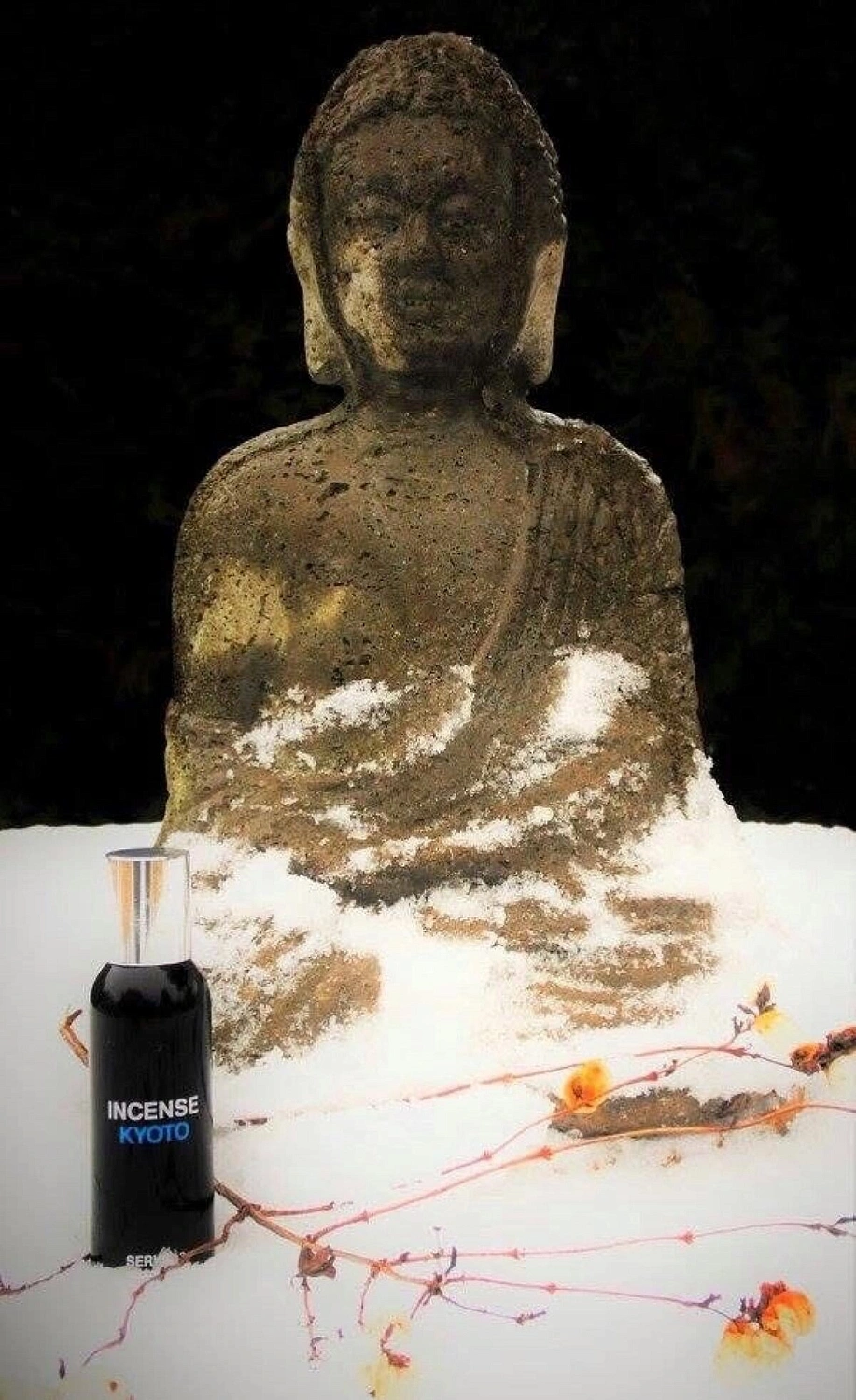 Comme des Garcons Series 3: Kyoto