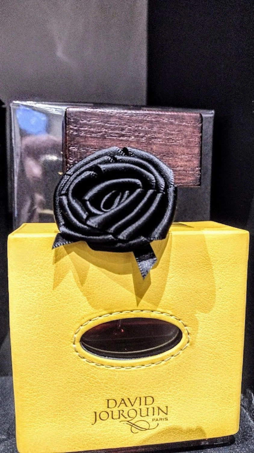 David Jourquin Cuir Solaire