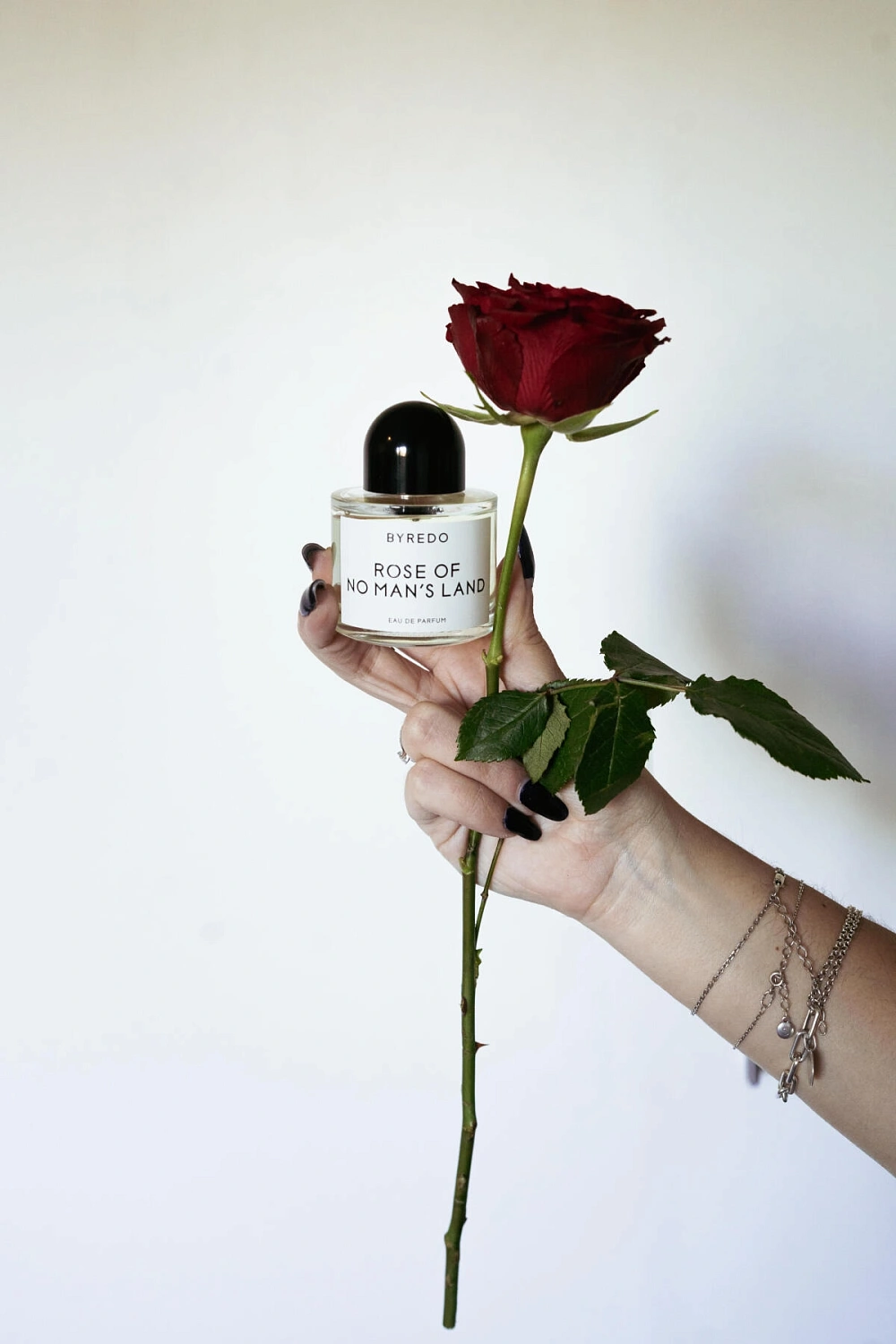 BYREDO Rose Of No Man’s Land
