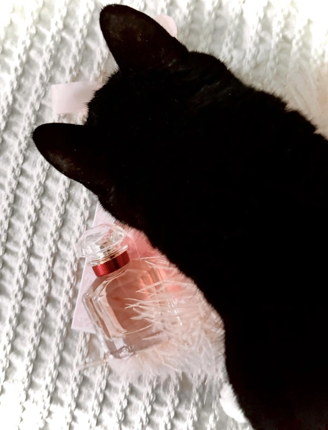 Mon Guerlain Bloom of Rose