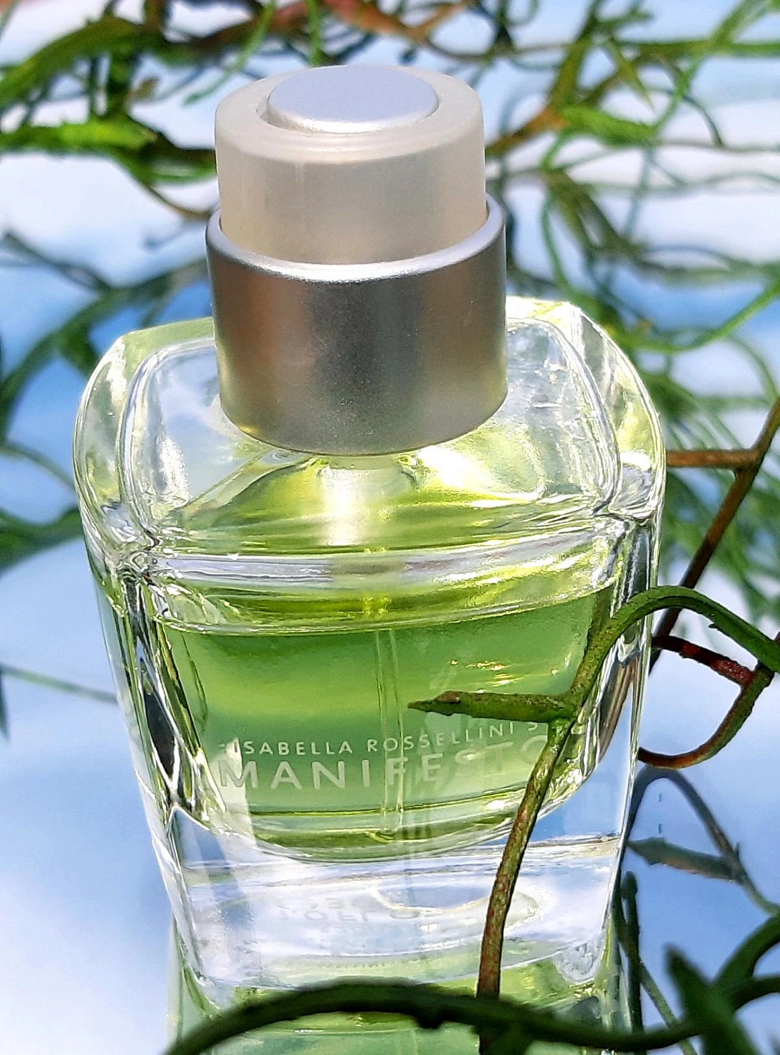 Isabella Rosselini Manifesto