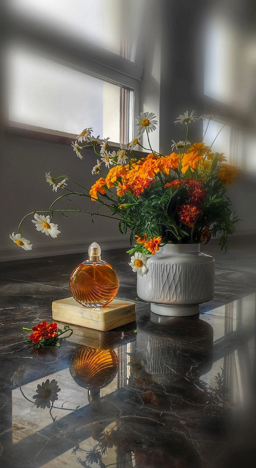 Ted Lapidus Creation