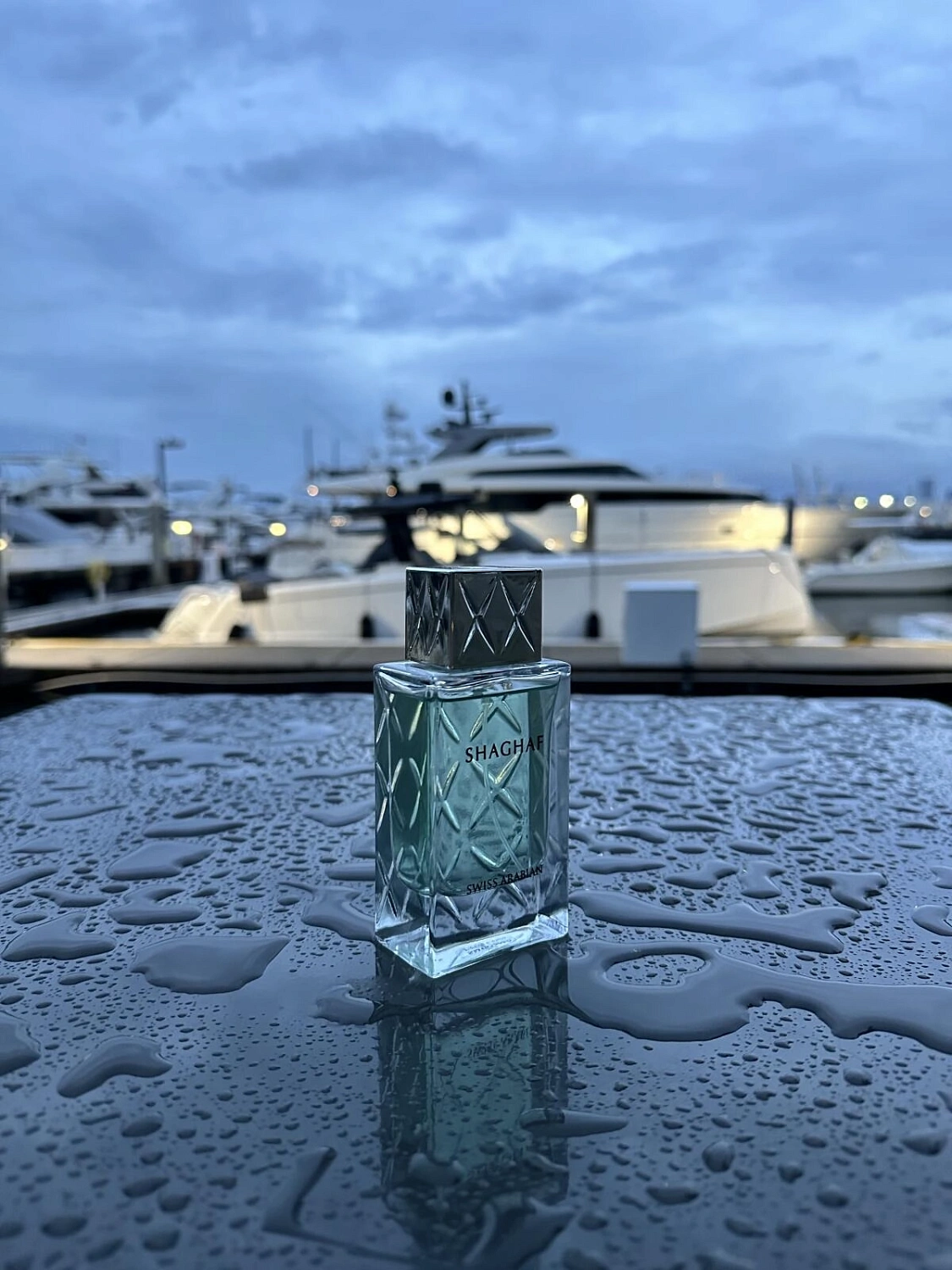 Swiss Arabian Shaghaf Men