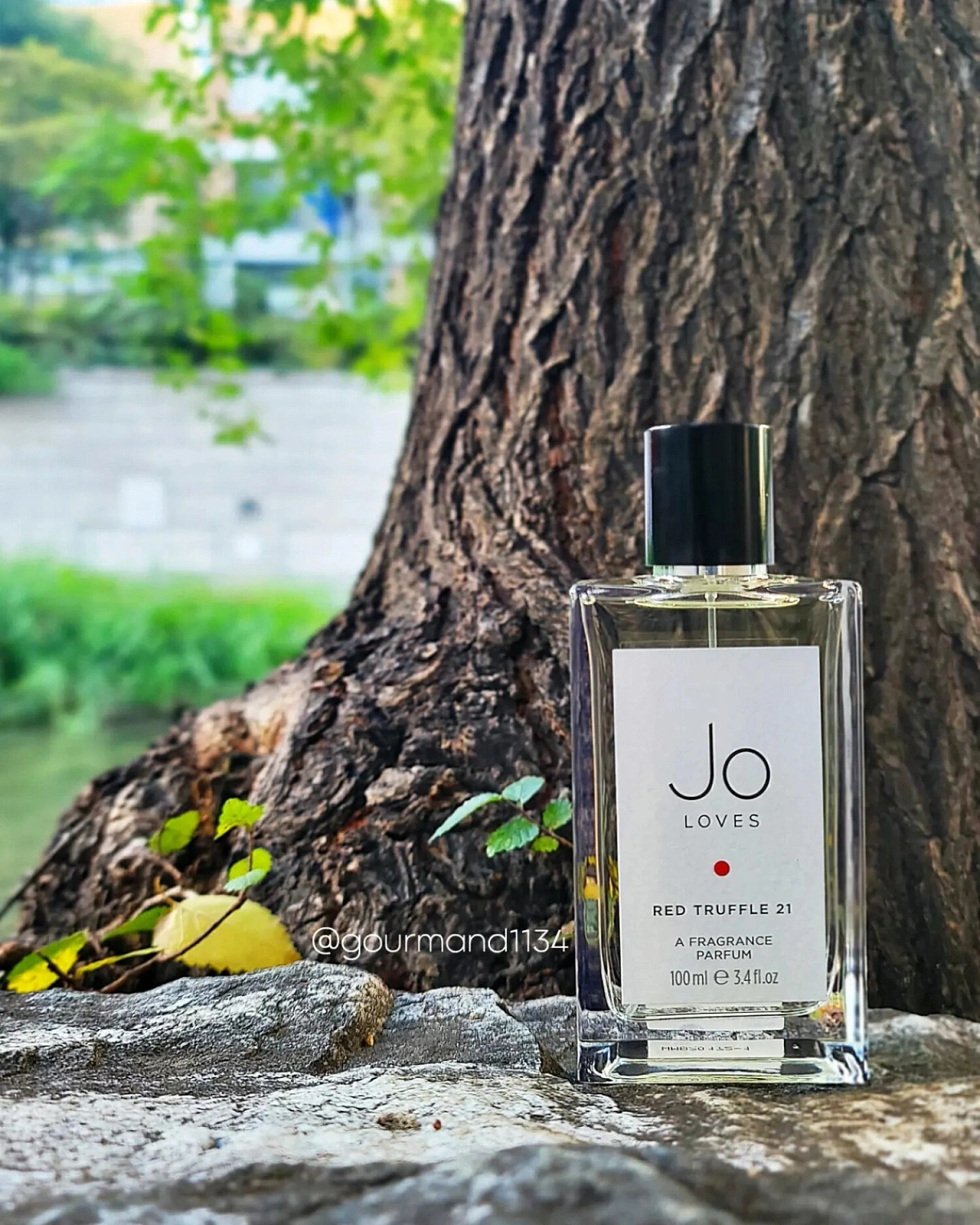 Jo Loves Red Truffle 21