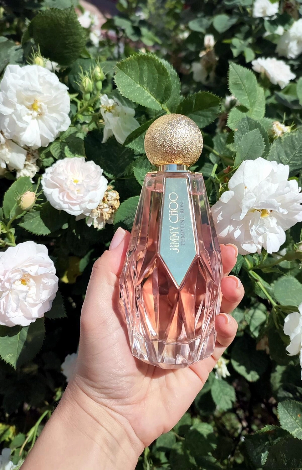 Jimmy Choo Tempting Rose