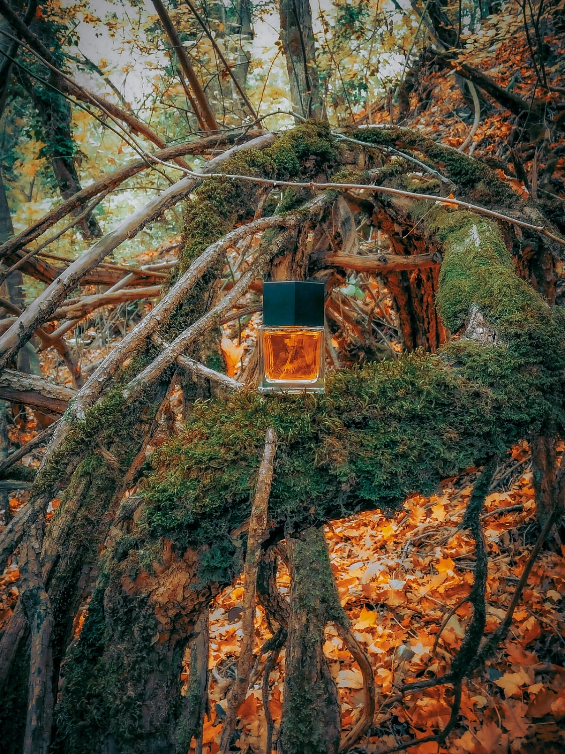 Yves Saint Laurent M7