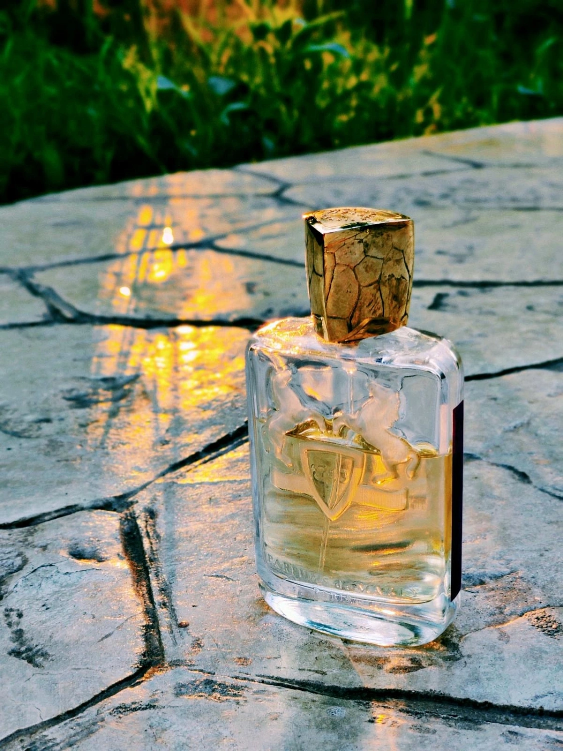 Parfums de Marly Darley