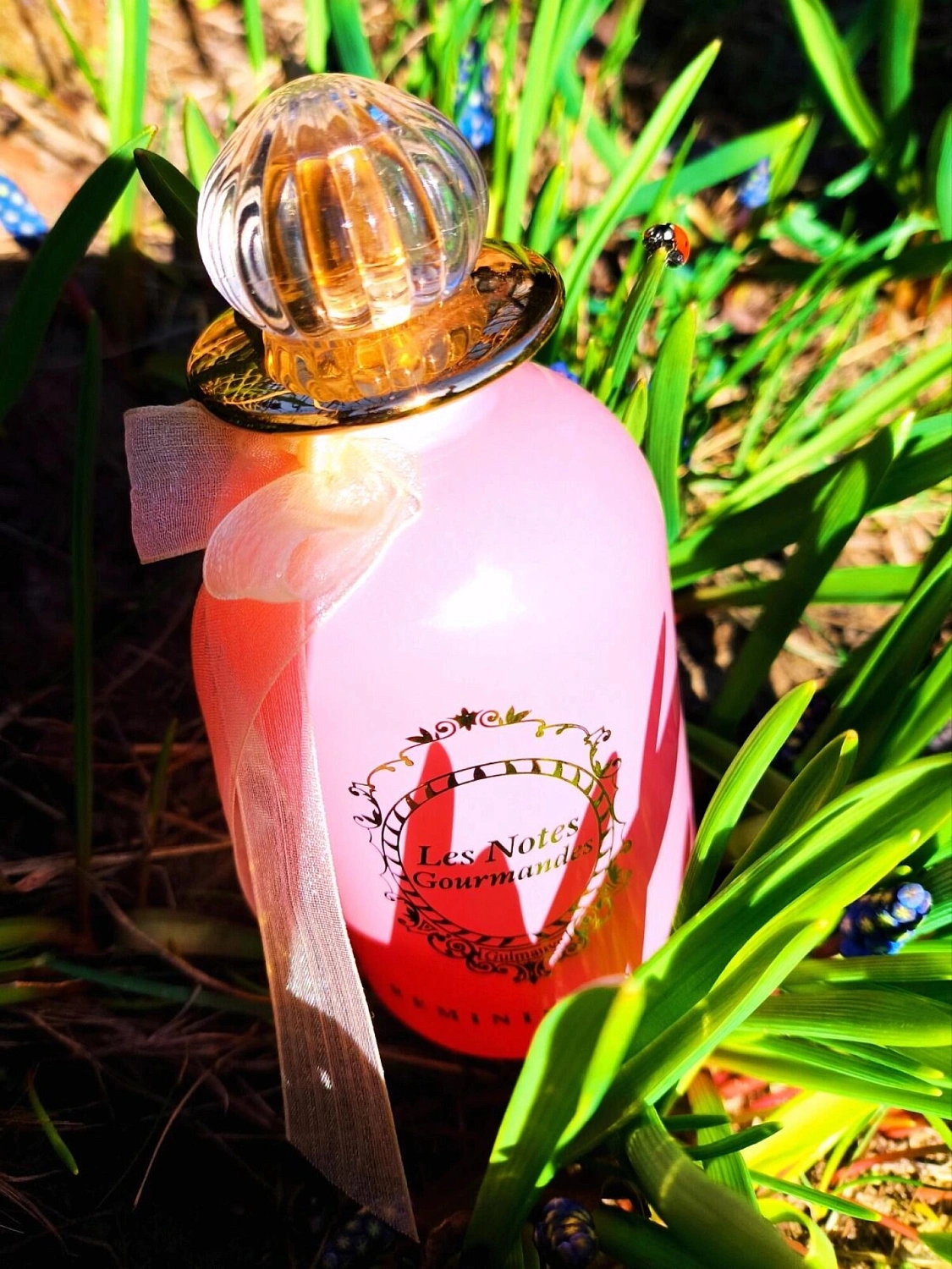 Reminiscence Les Notes Gourmandes Guimauve