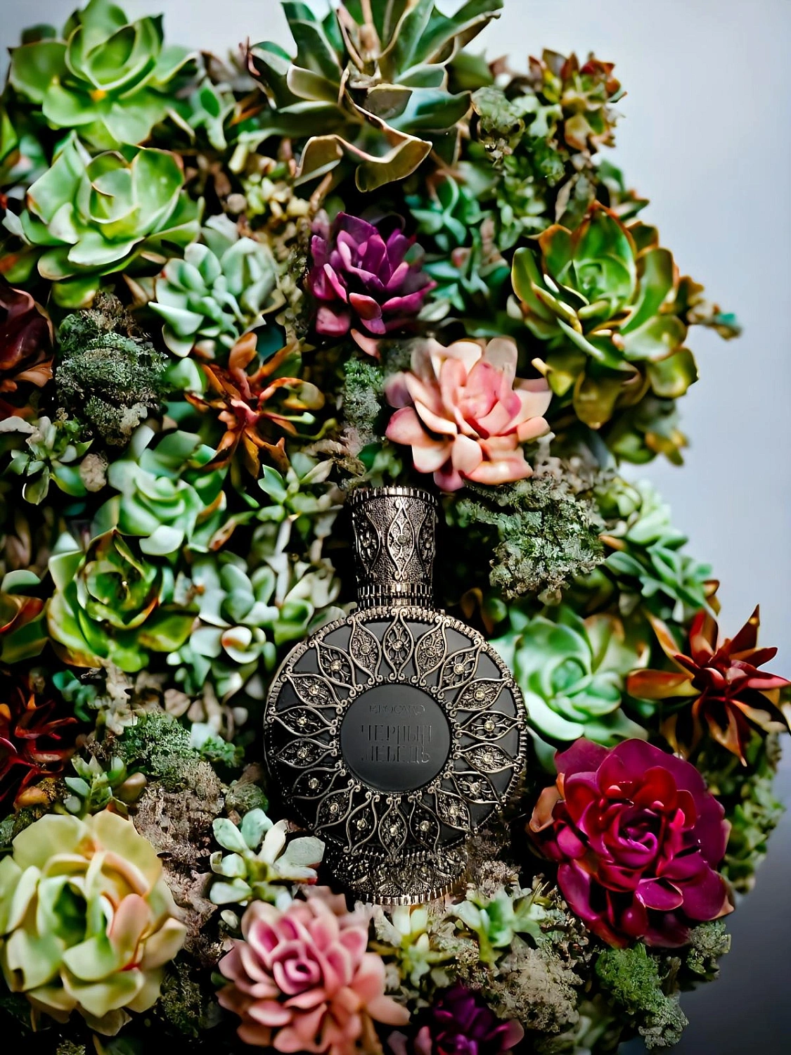 Brocard Черный лебедь