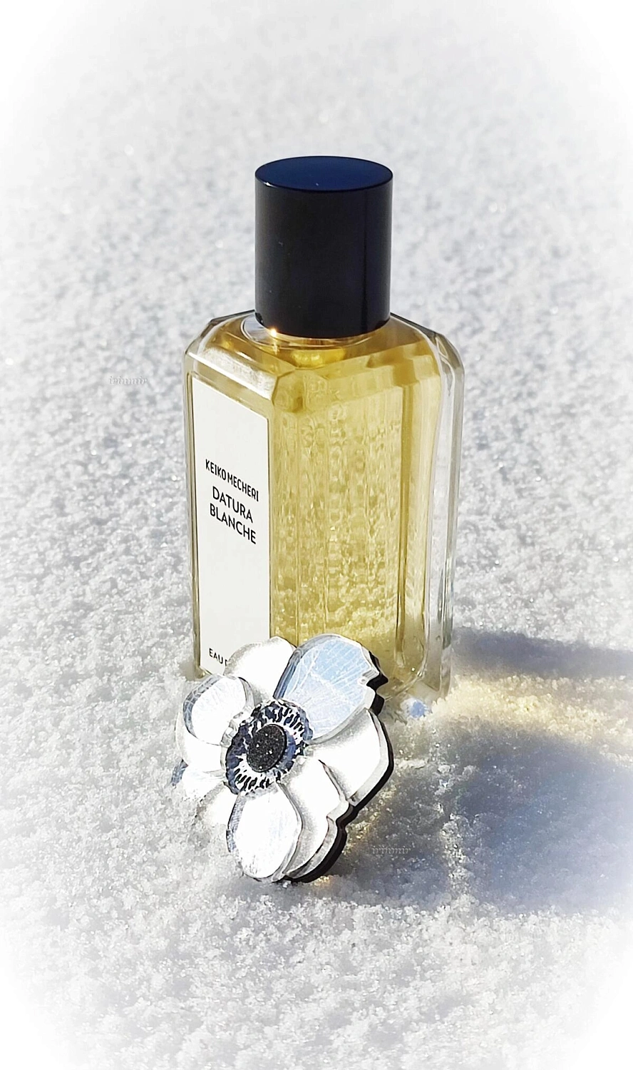 Keiko Mecheri Datura Blanche