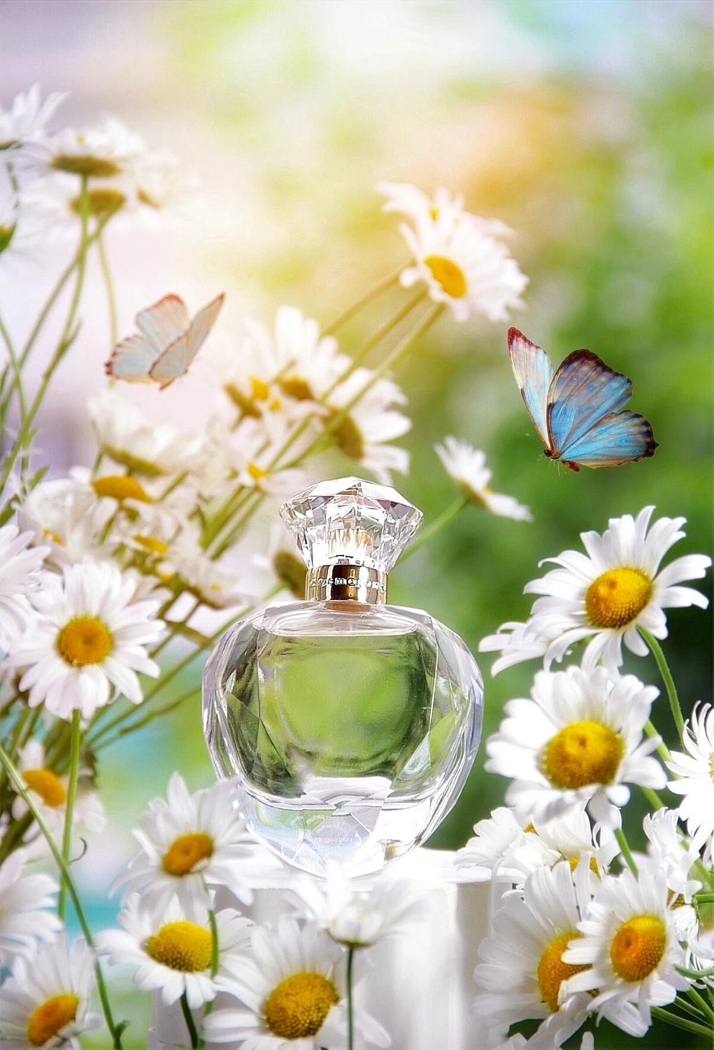 Cosmogony Butterfly Nebula