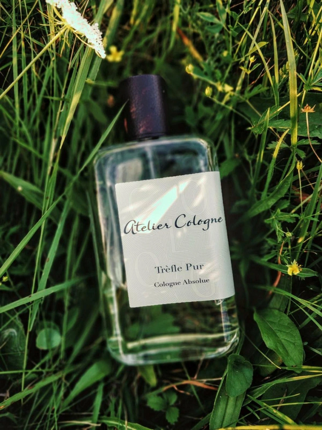 Atelier Cologne Trefle Pur