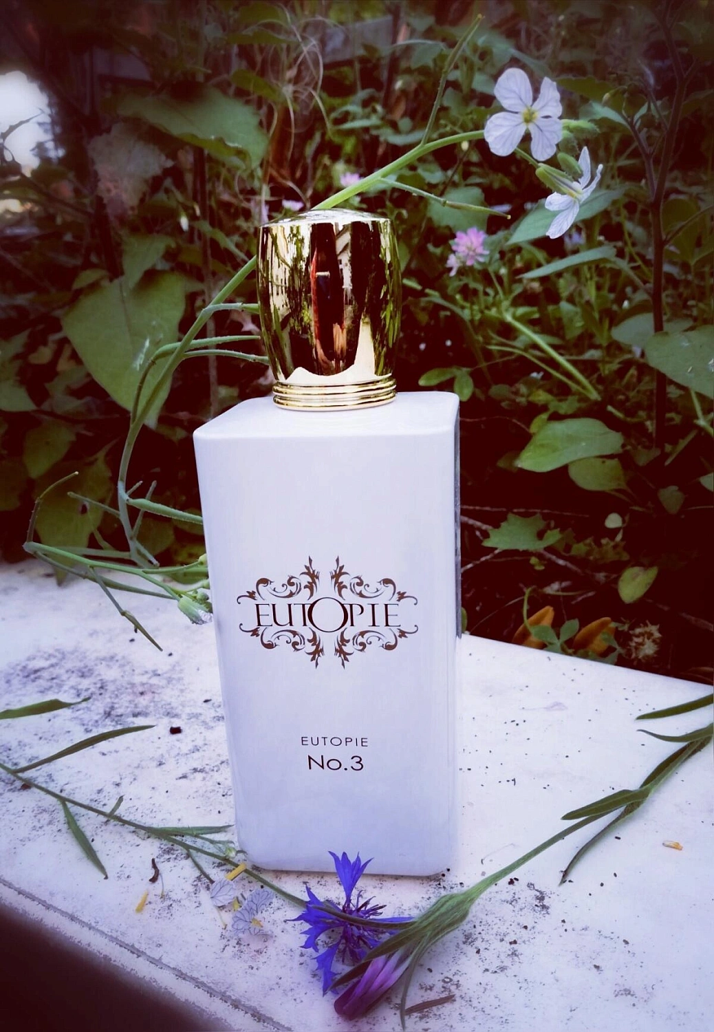 Eutopie No 3
