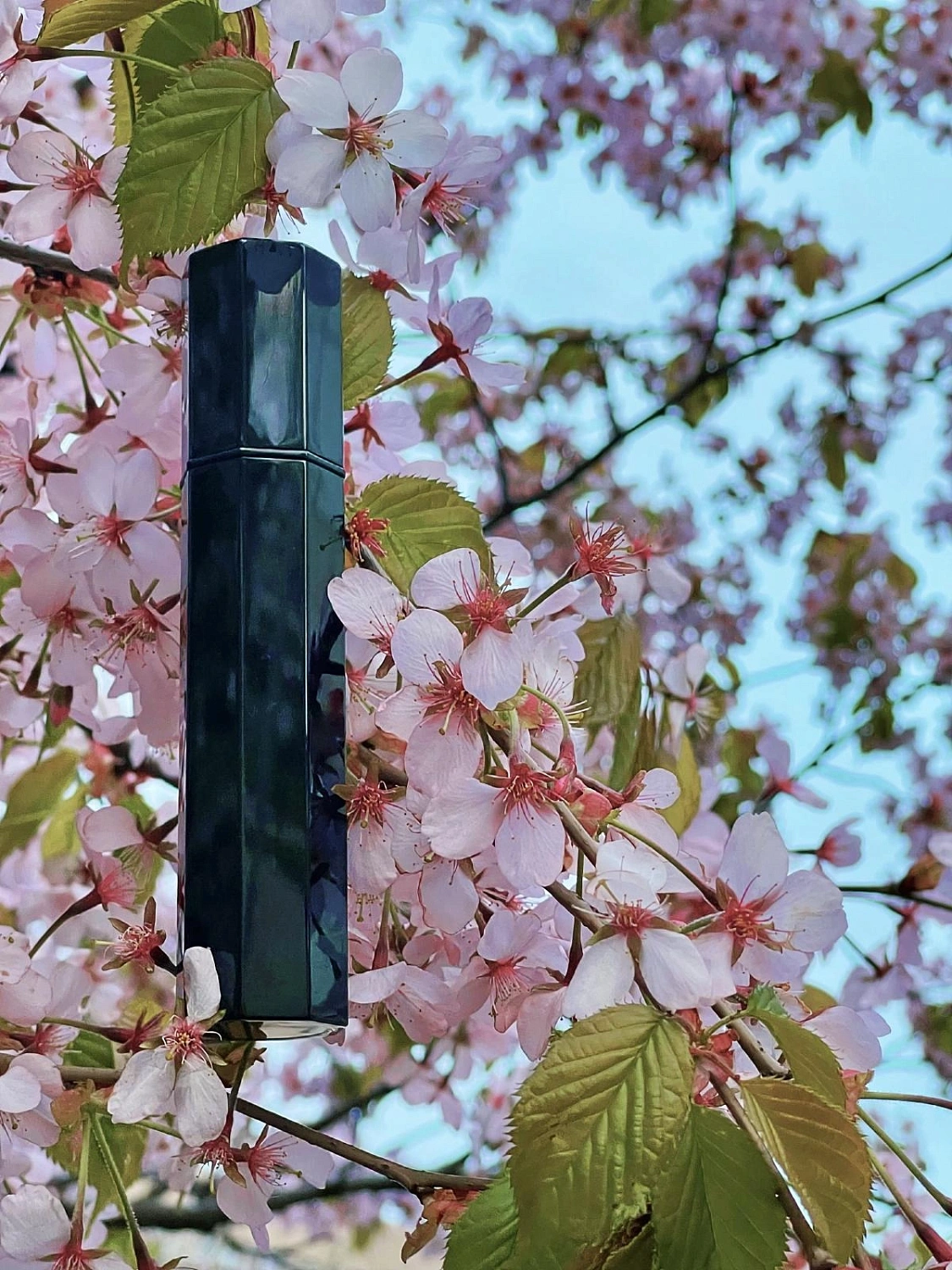 Serge Lutens Iris Silver Mist