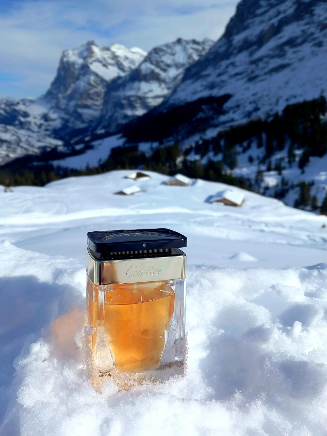 Cartier La Panthere Edition Soir Cartier La Panthere Edition Soir
