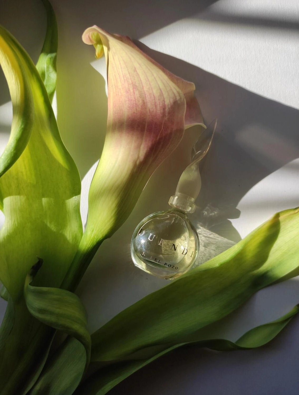 Jesus Del Pozo Duende