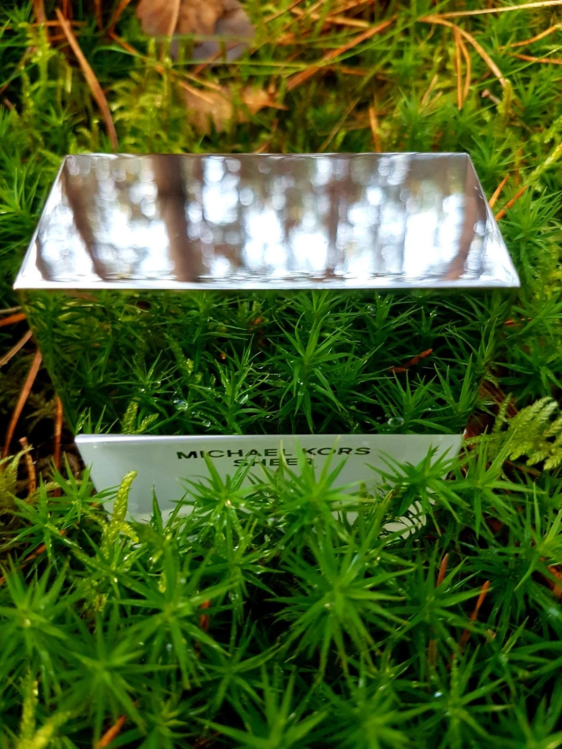 MICHAEL KORS Sheer 2017