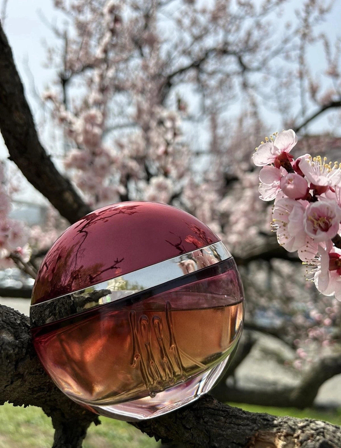 Cerruti 1881 1881 Collection