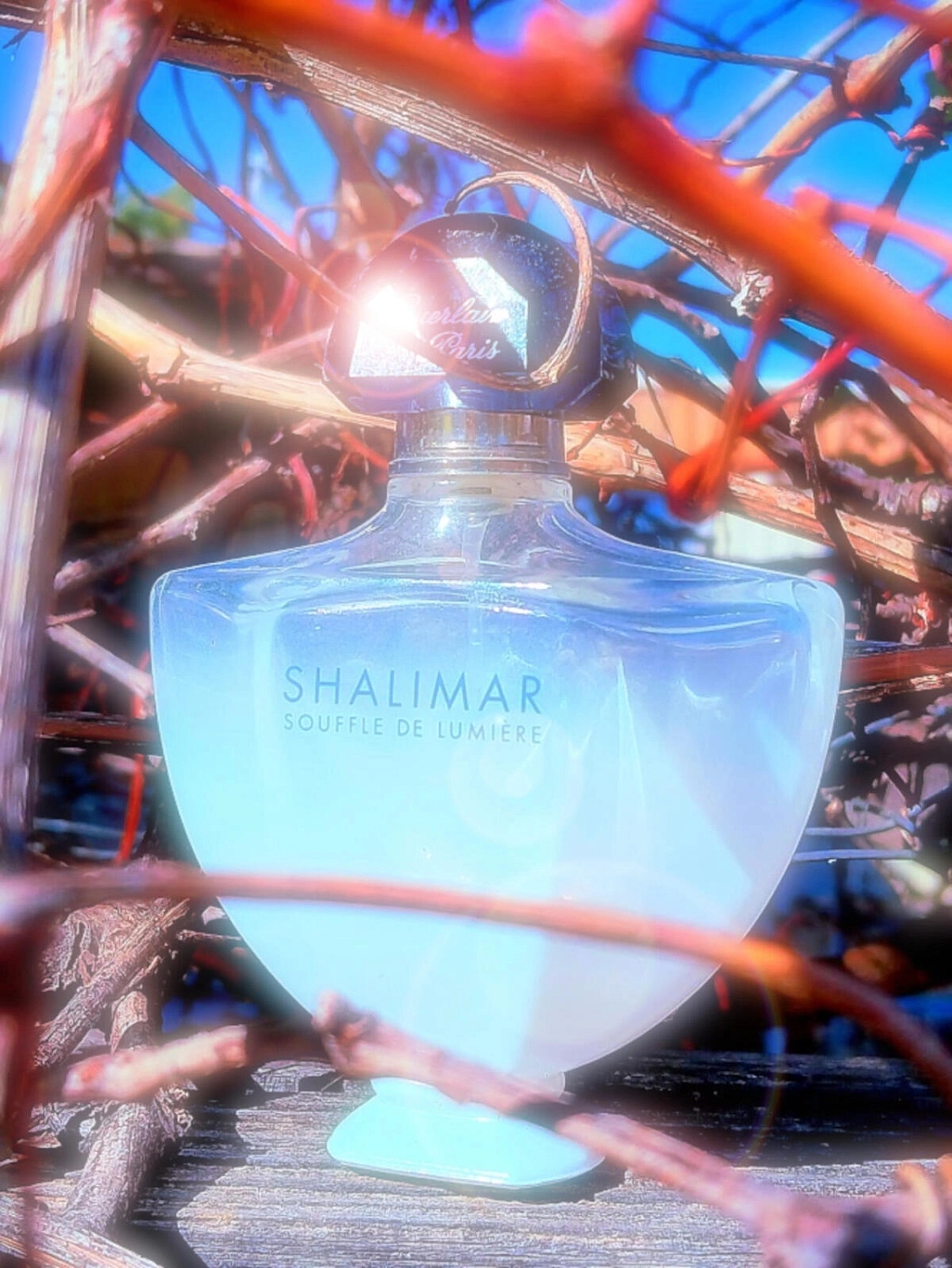 Guerlain Shalimar Souffle de Lumiere Guerlain Shalimar Souffle de Lumiere