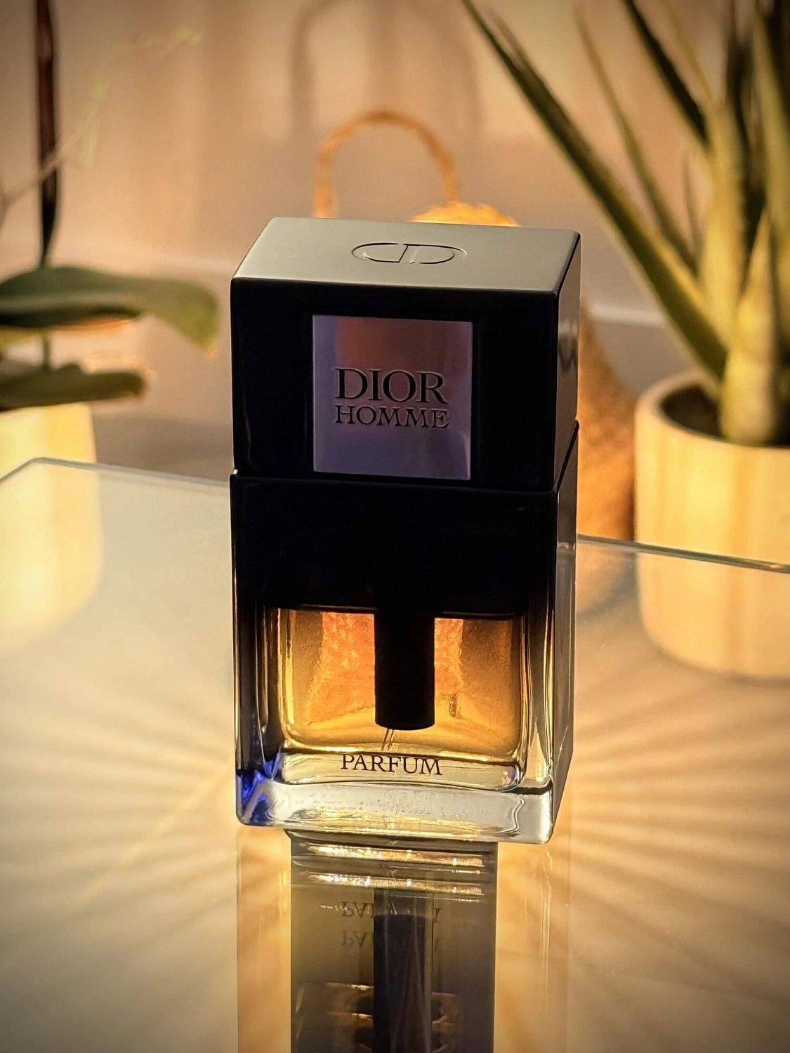 Christian Dior Homme Parfum 2025