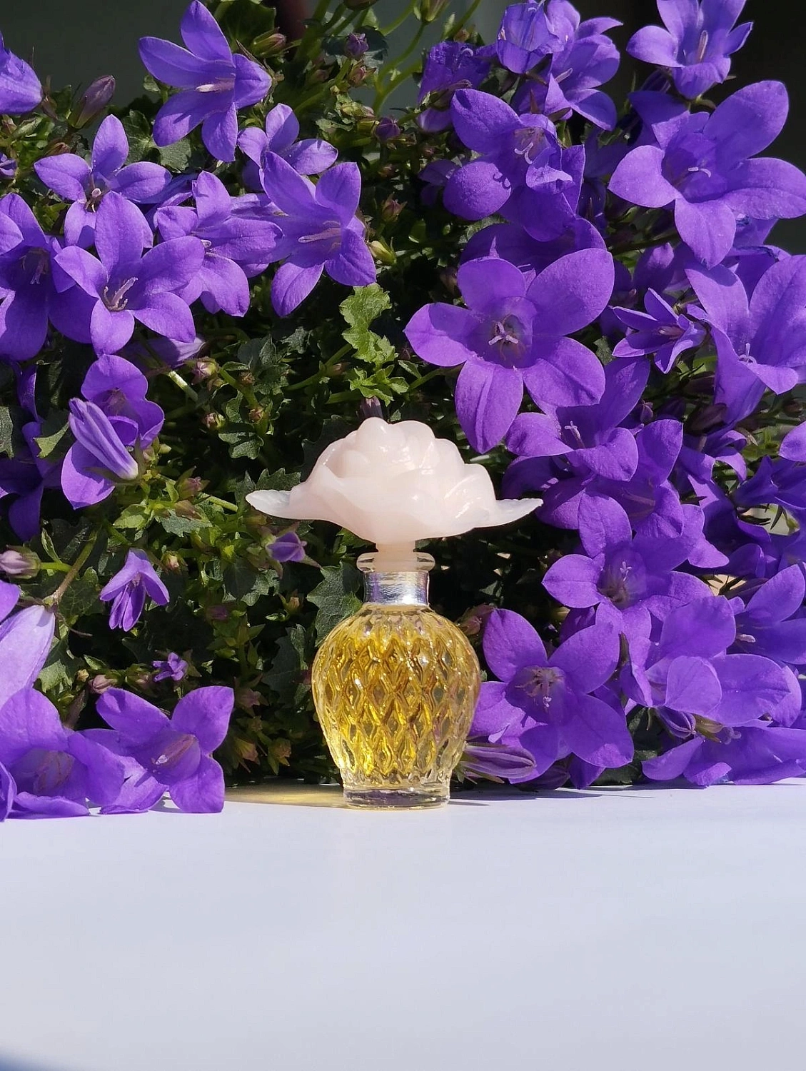 NINA RICCI Capricci NINA RICCI Capricci