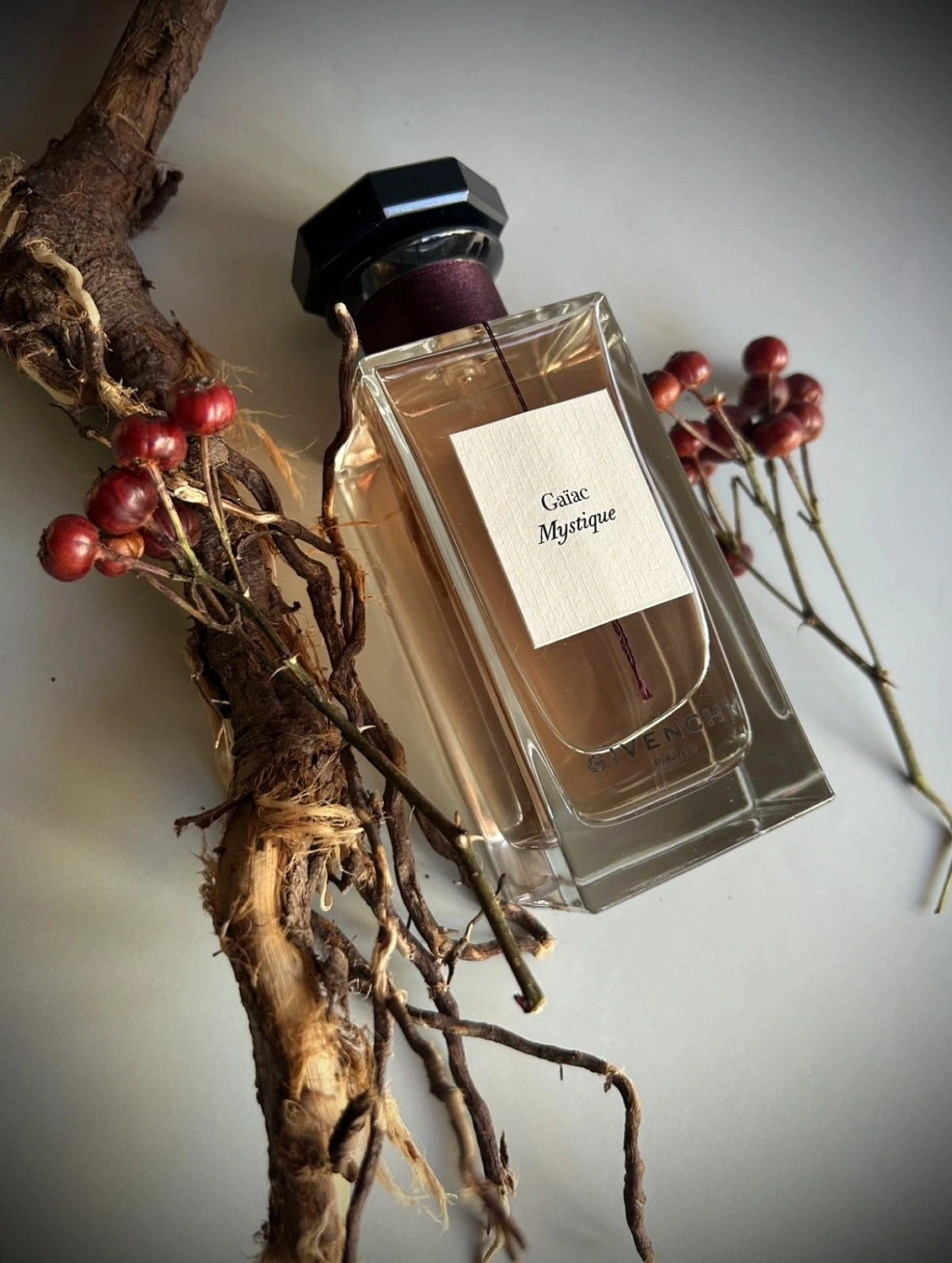 GIVENCHY Gaiac Mystique GIVENCHY Gaiac Mystique