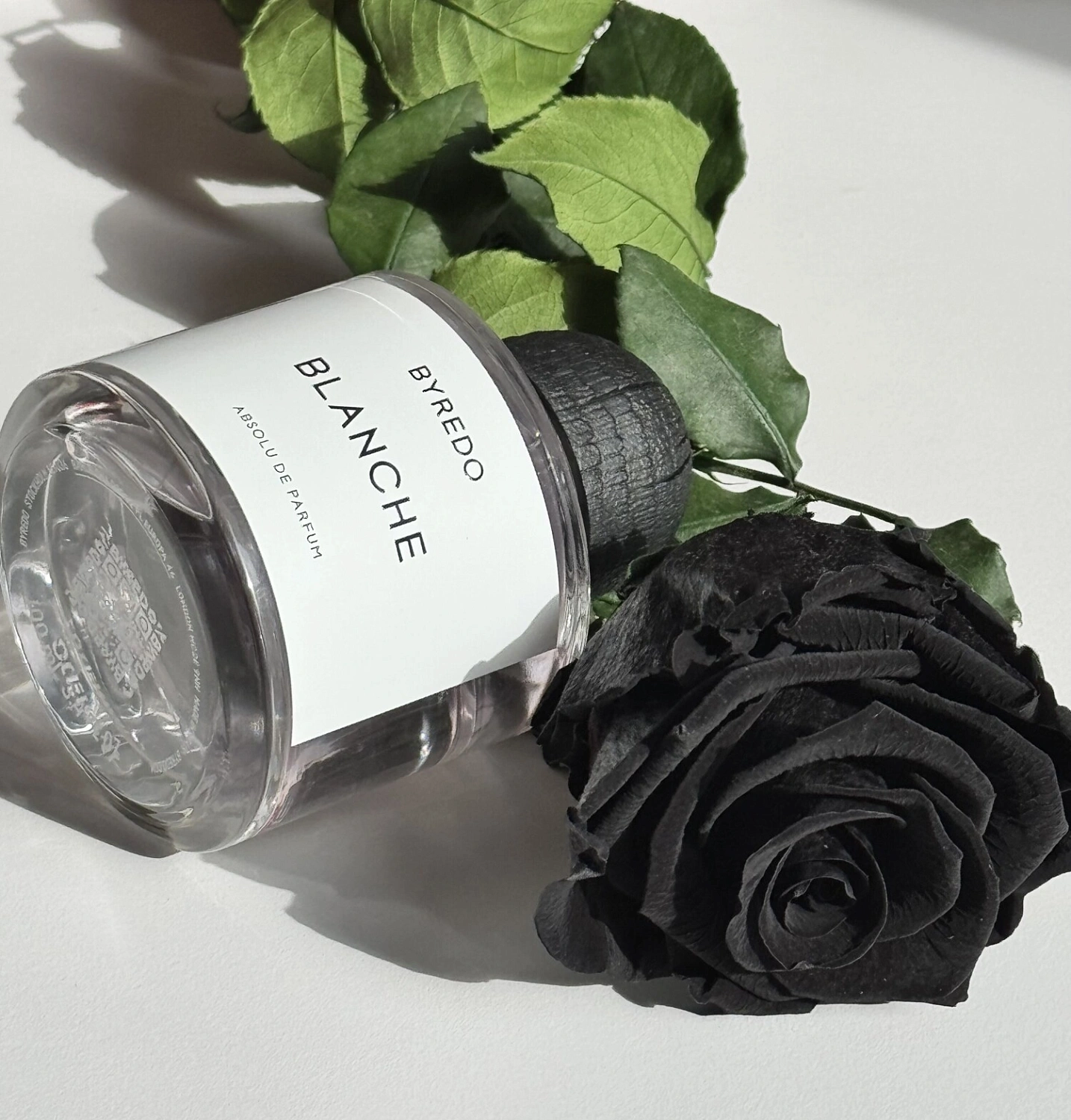 BYREDO Blanche Absolu